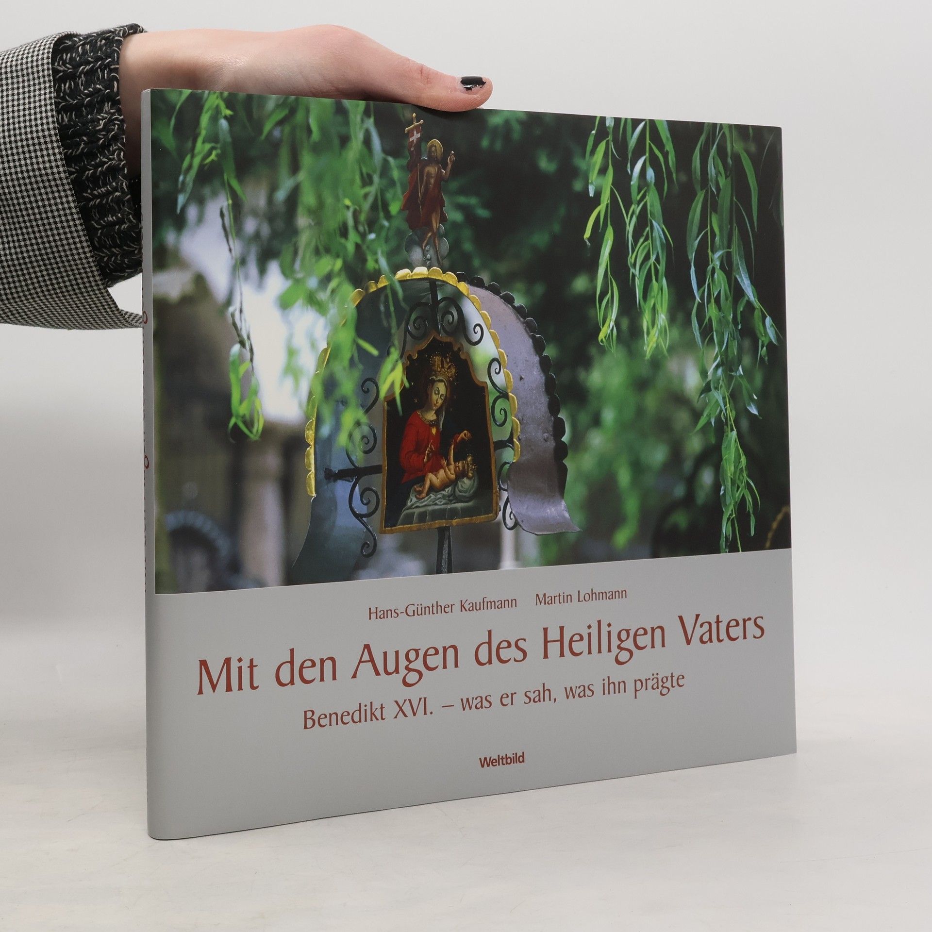Mit den Augen des Heiligen Vaters
