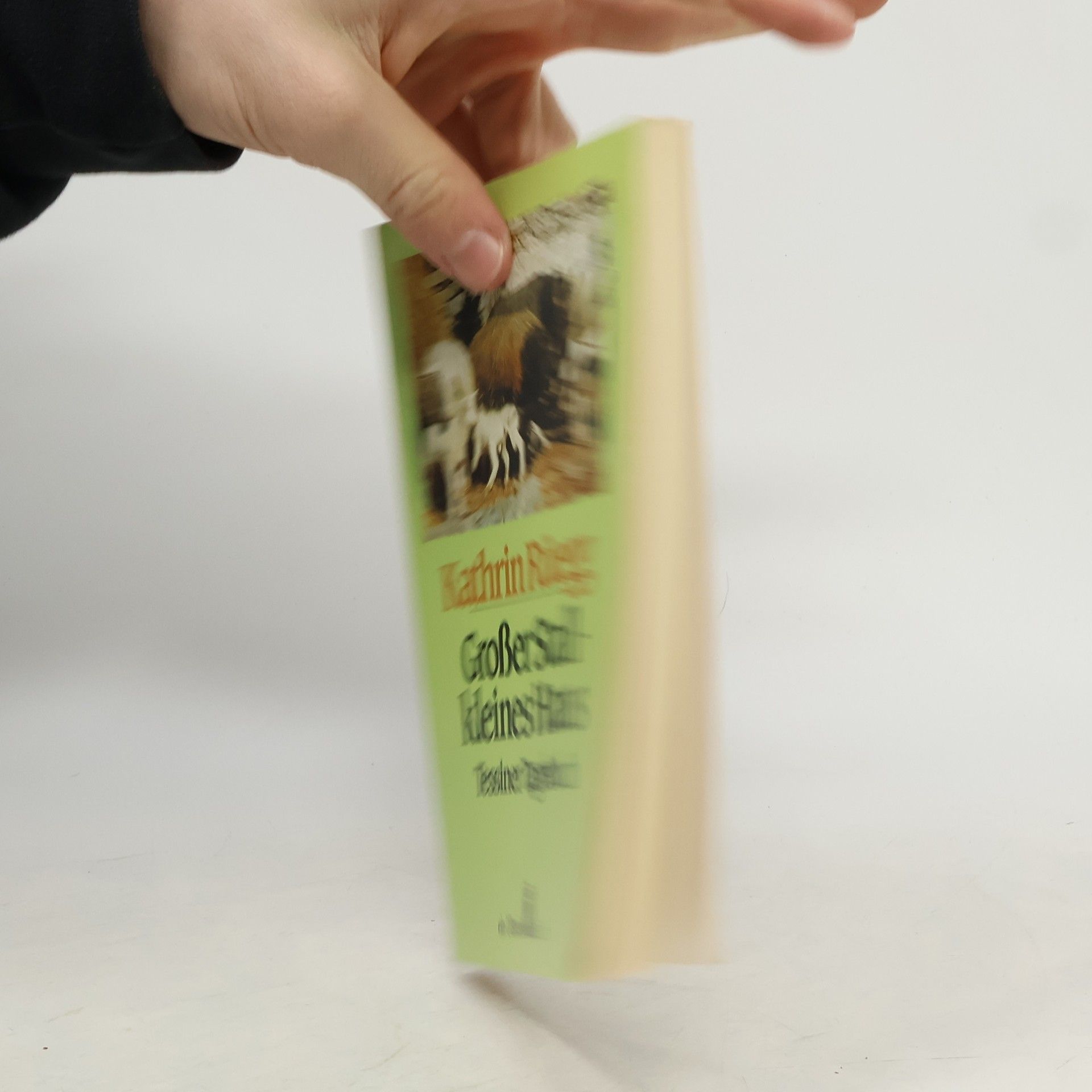 Kathrin Rüegg Grosser Stall - kleines Haus