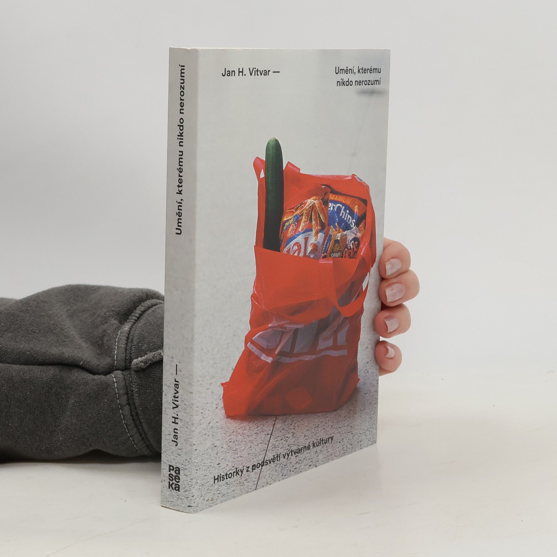 Jan H. Vitvar Umění, kterému nikdo nerozumí : historky z podsvětí výtvarné kultury