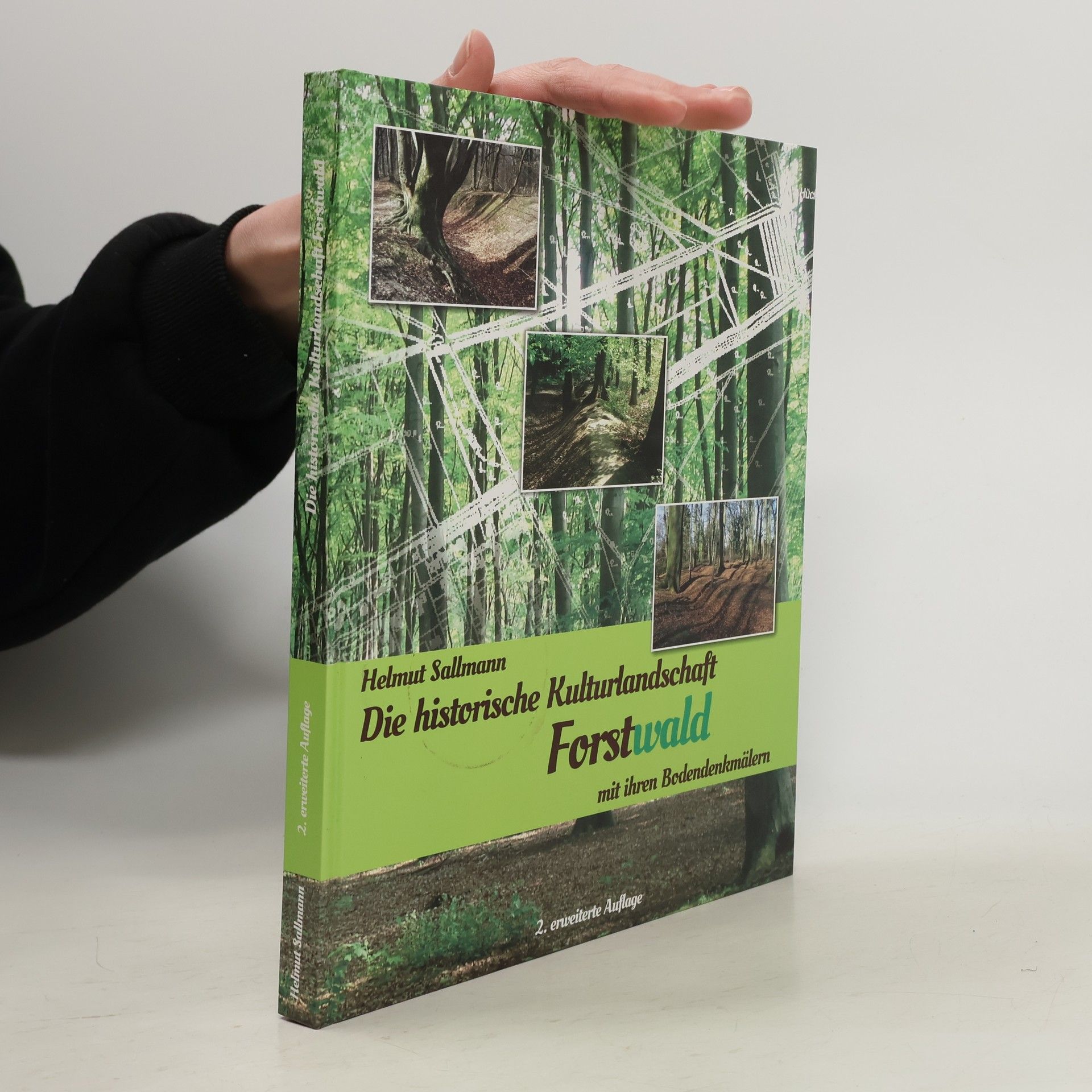 Helmut Sallmann Die historische Kulturlandschaft Forstwald mit ihren Bodendenkmälern