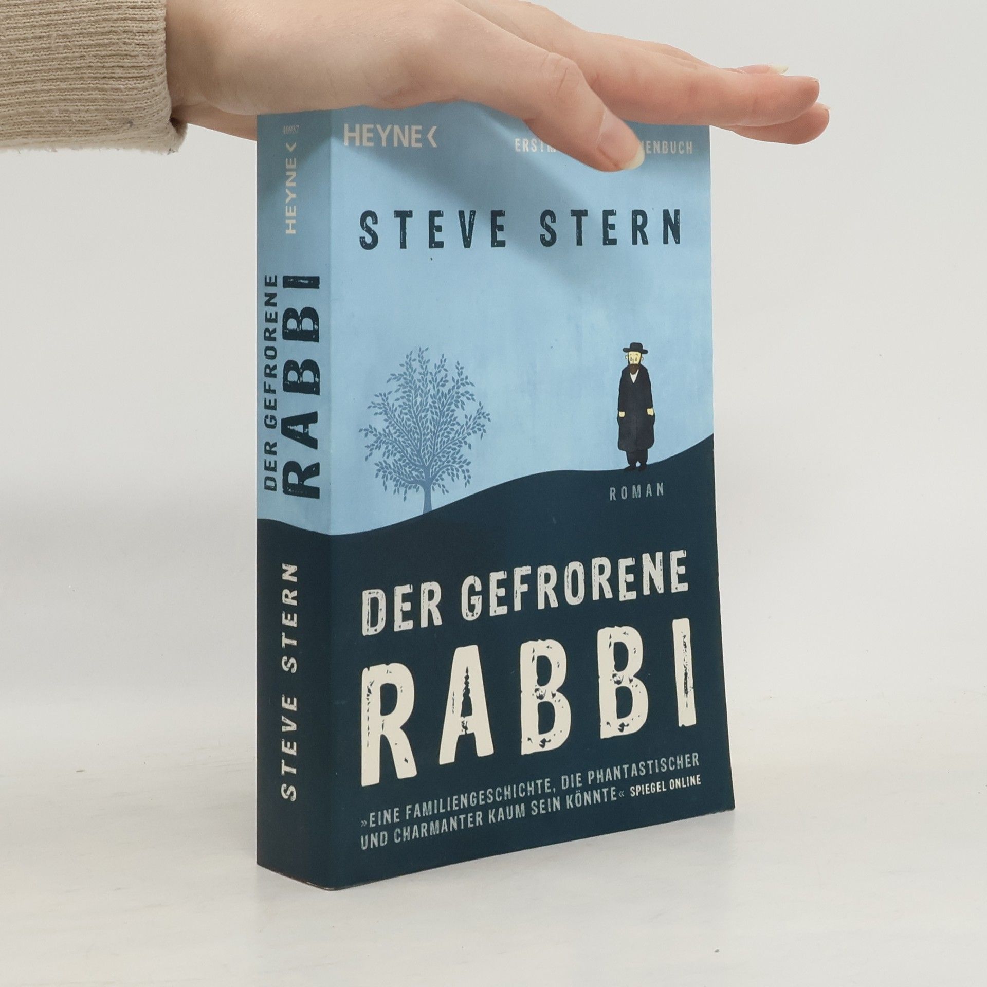 Steve Stern Der gefrorene Rabbi