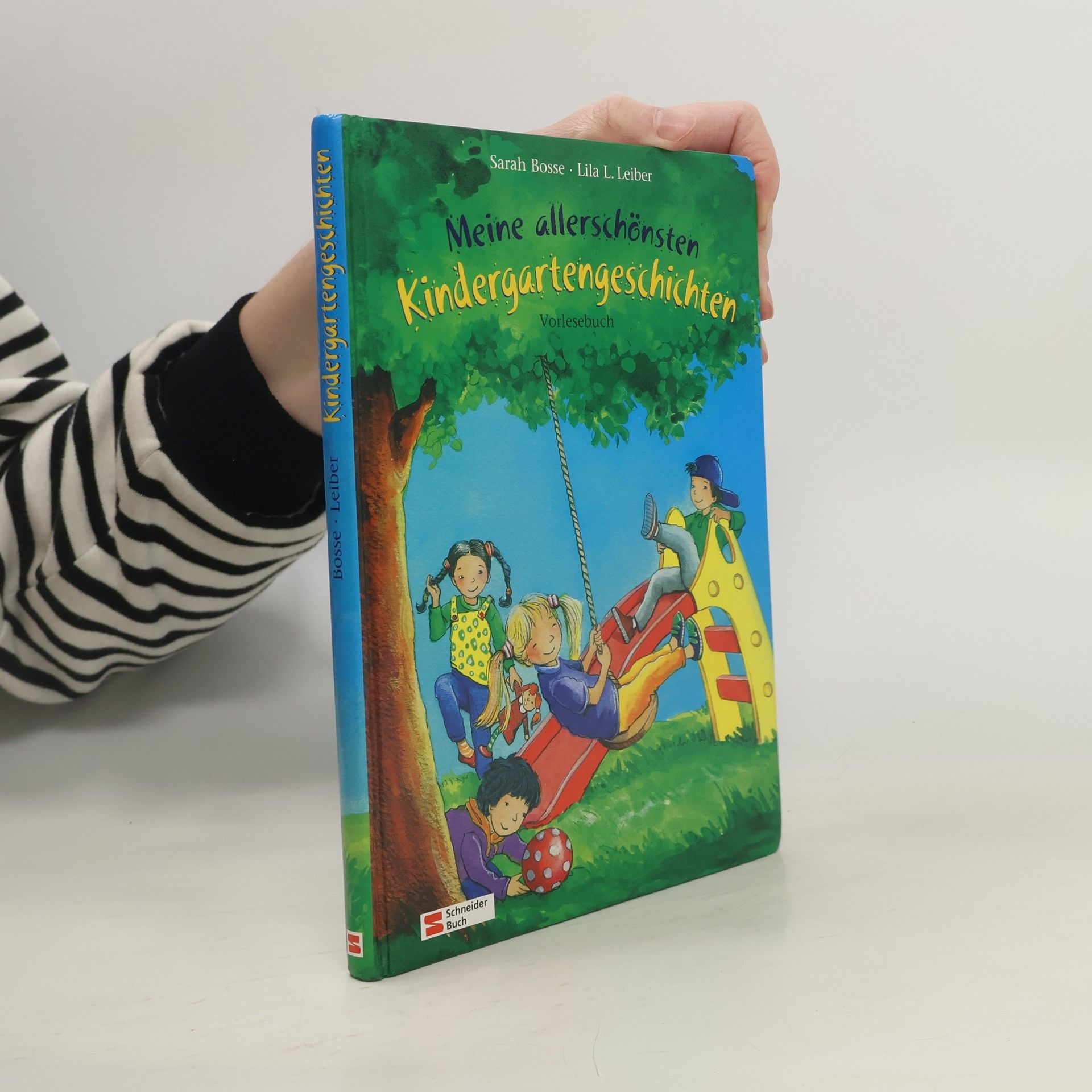 Sarah Bosse Meine allerschönsten Kindergartengeschichten