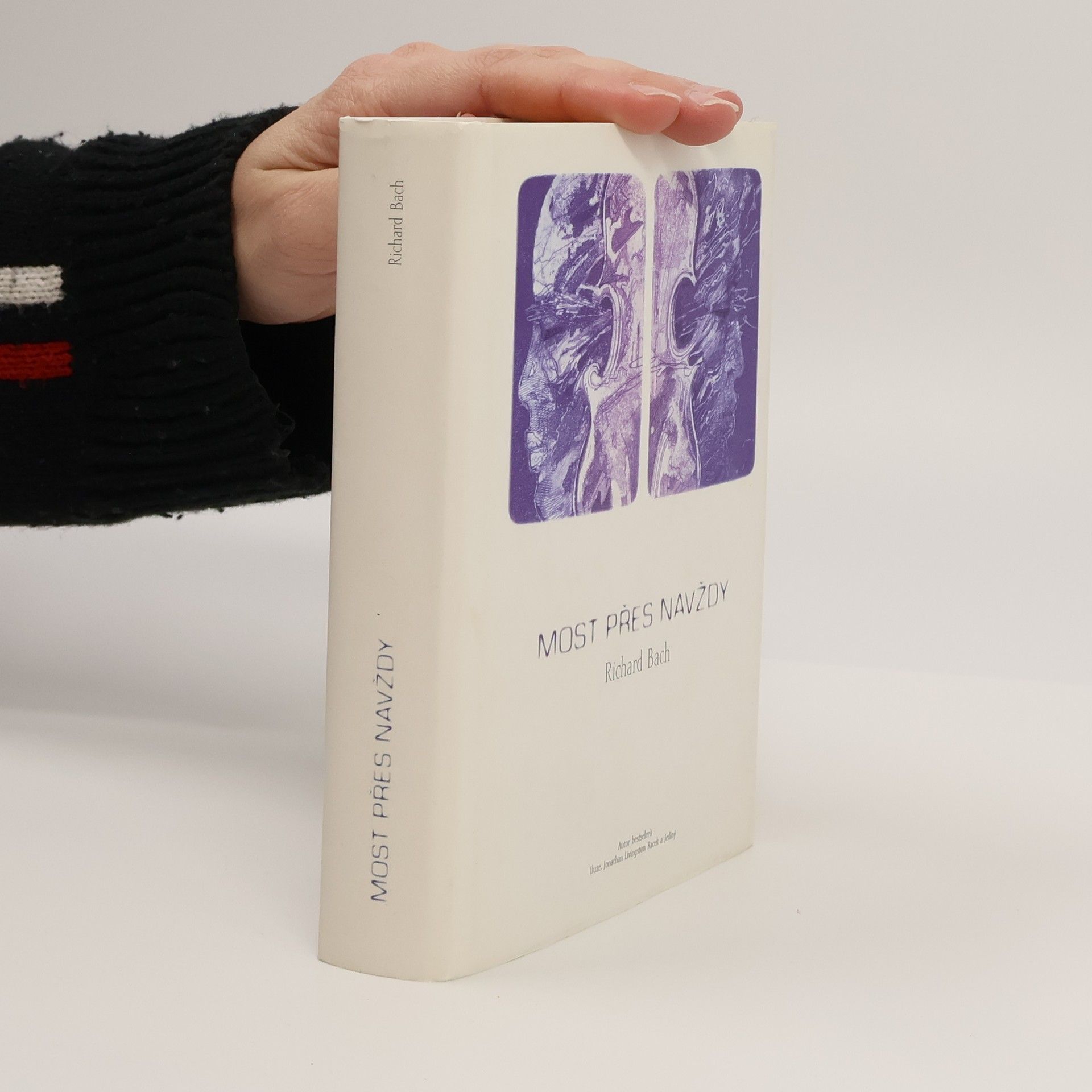 Richard Bach Most přes navždy