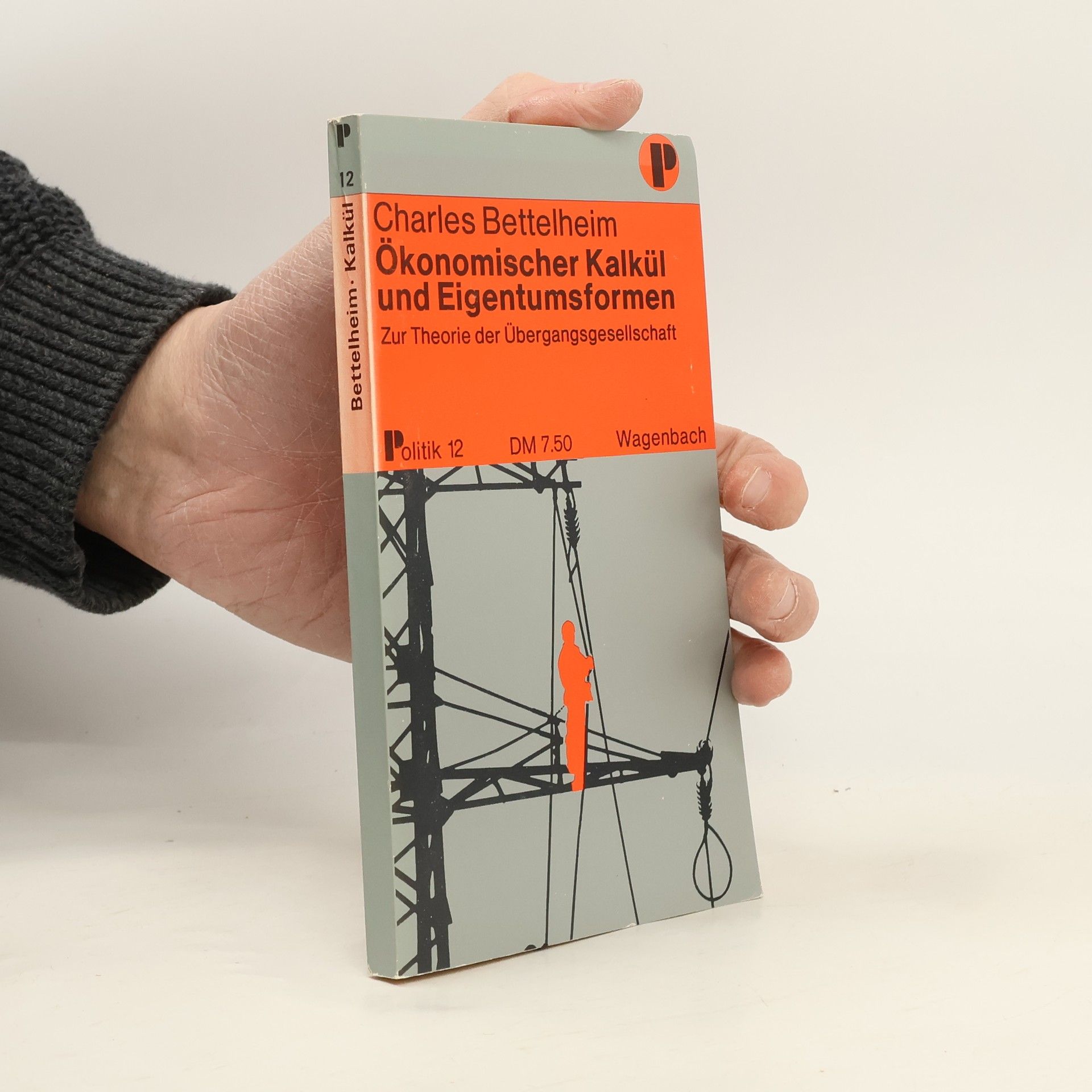 Ökonomischer Kalkül und Eigentumsformen.