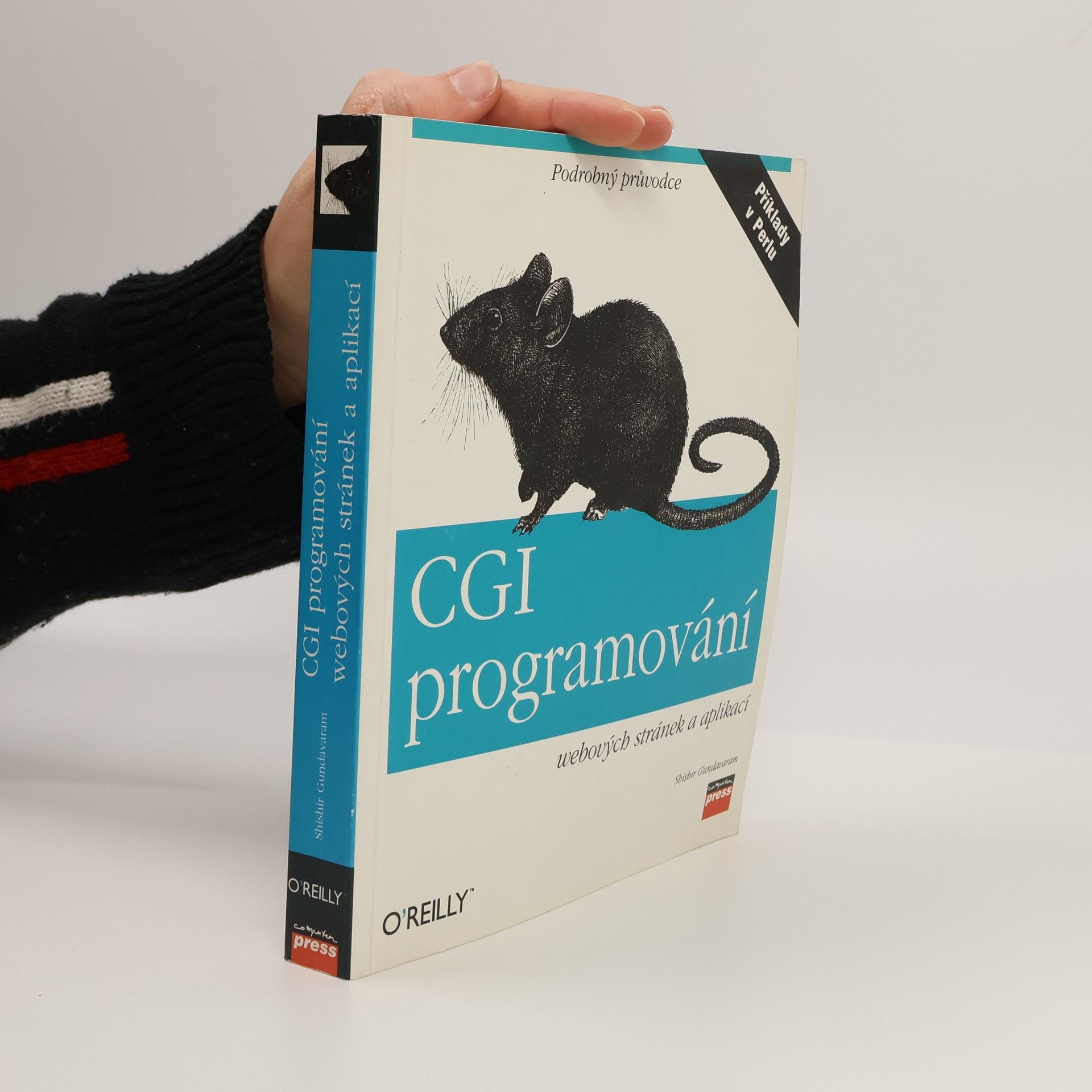 Shishir Gundavaram CGI - programování webových stránek a aplikací