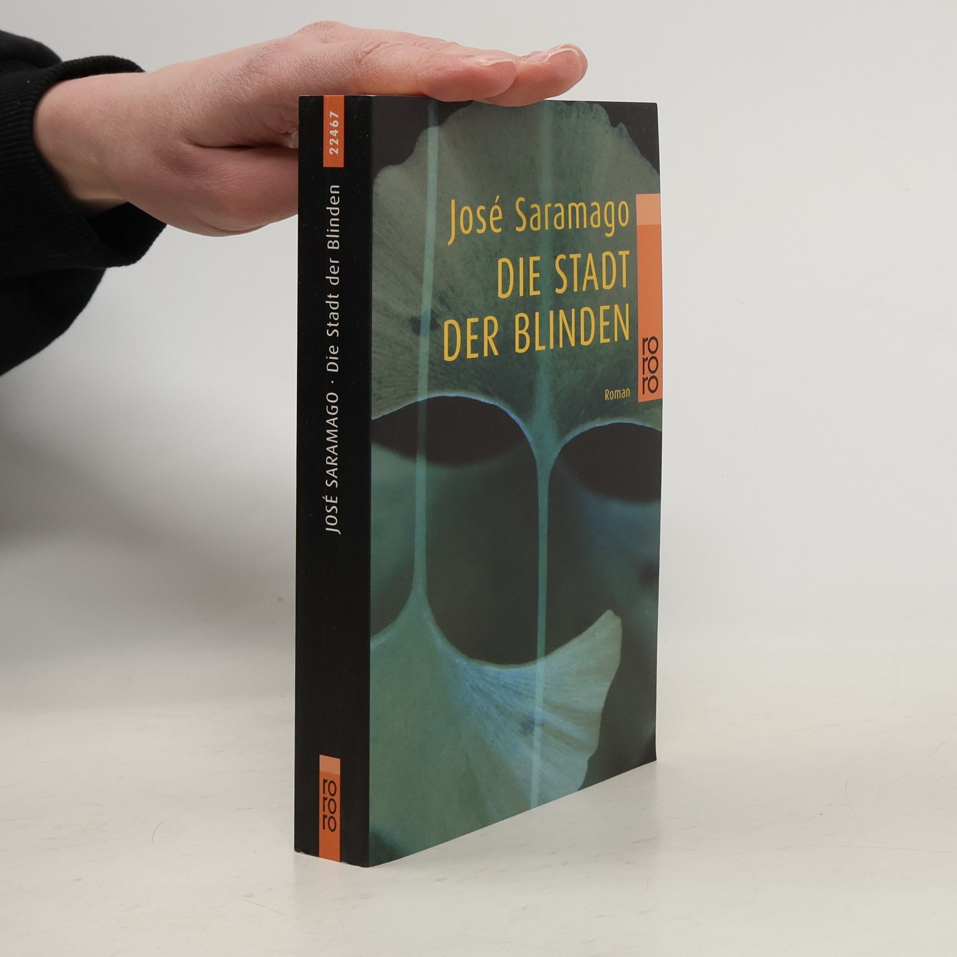 José Saramago Die Stadt der Blinden