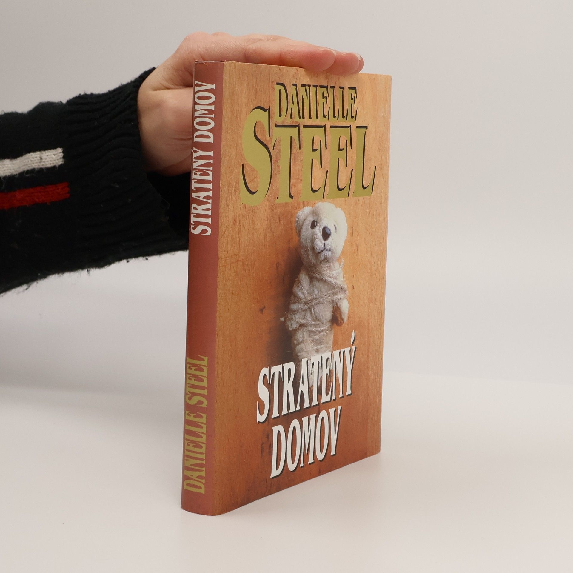 Danielle Steel Stratený domov