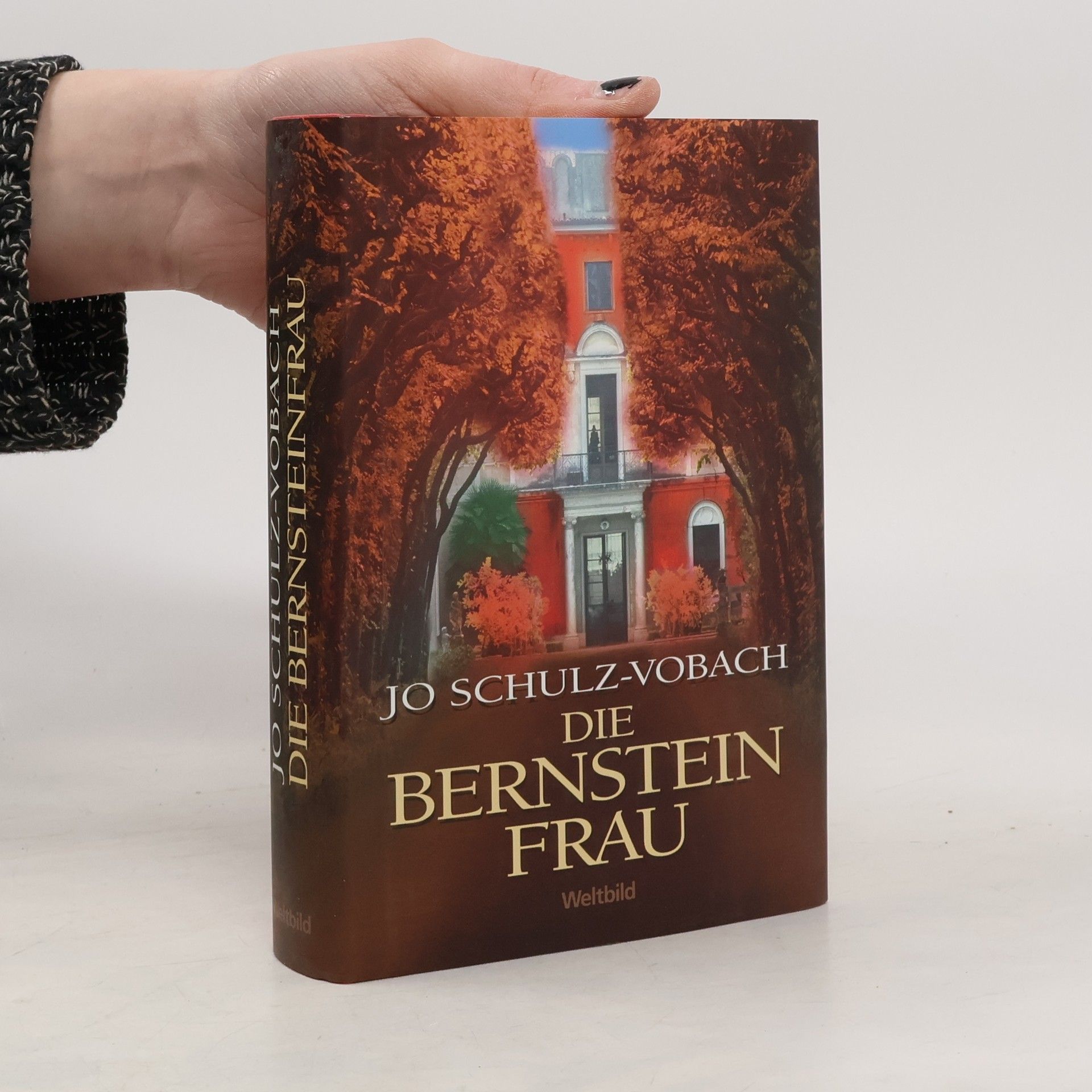 Jo Schulz-Vobach Die Bernsteinfrau