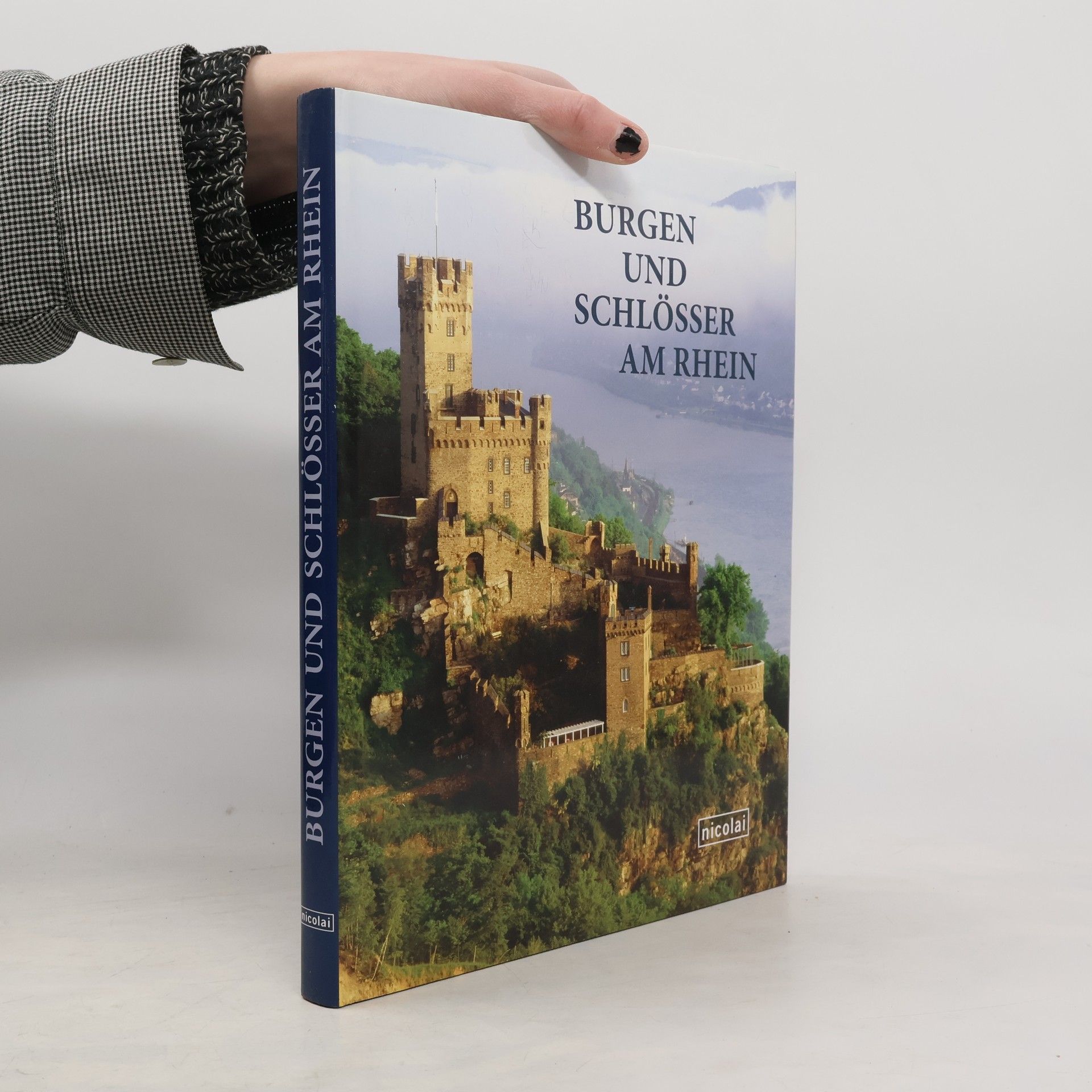 Anne Christine Martin Burgen und Schlösser am Rhein