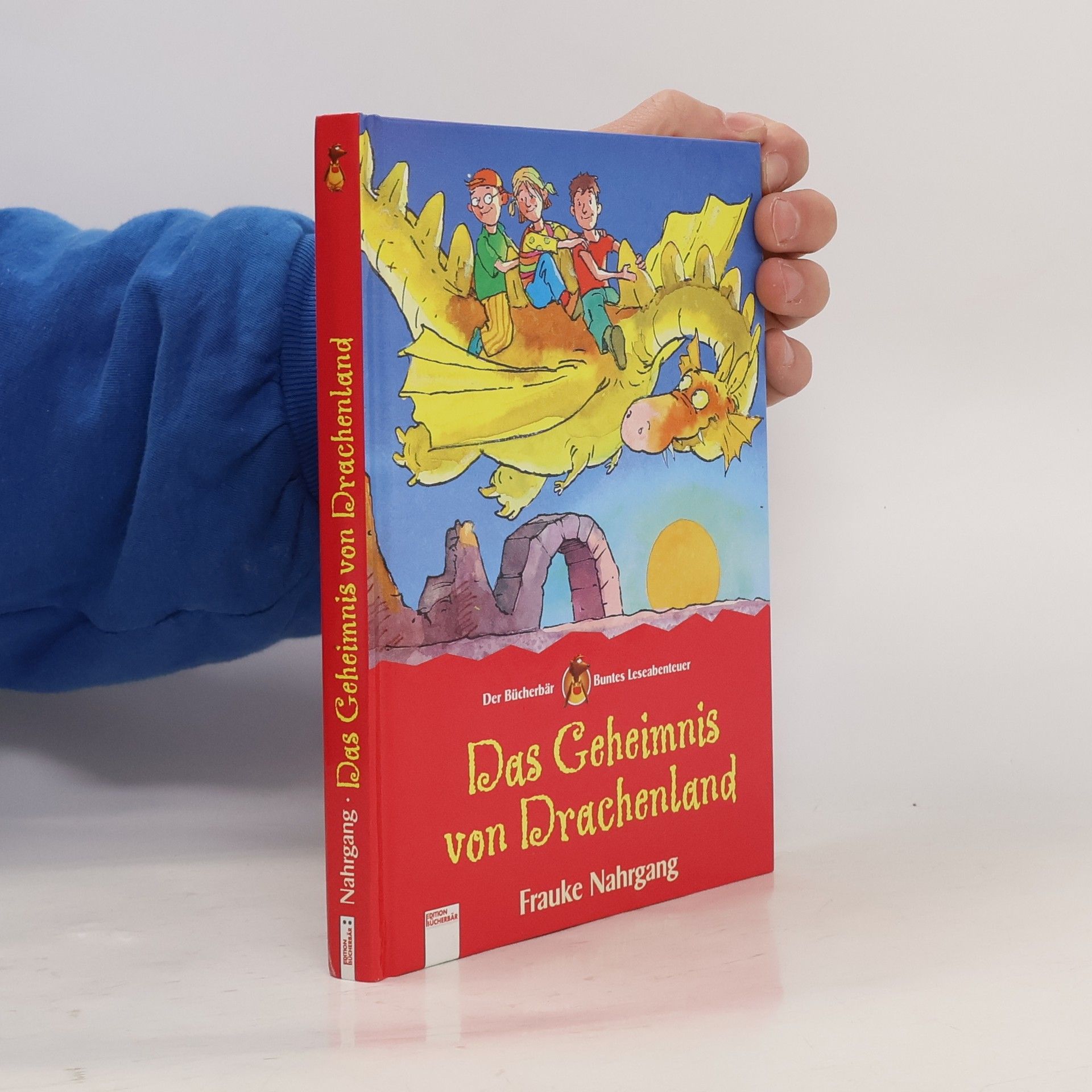 Frauke Nahrgang Das Geheimnis vom Drachenland