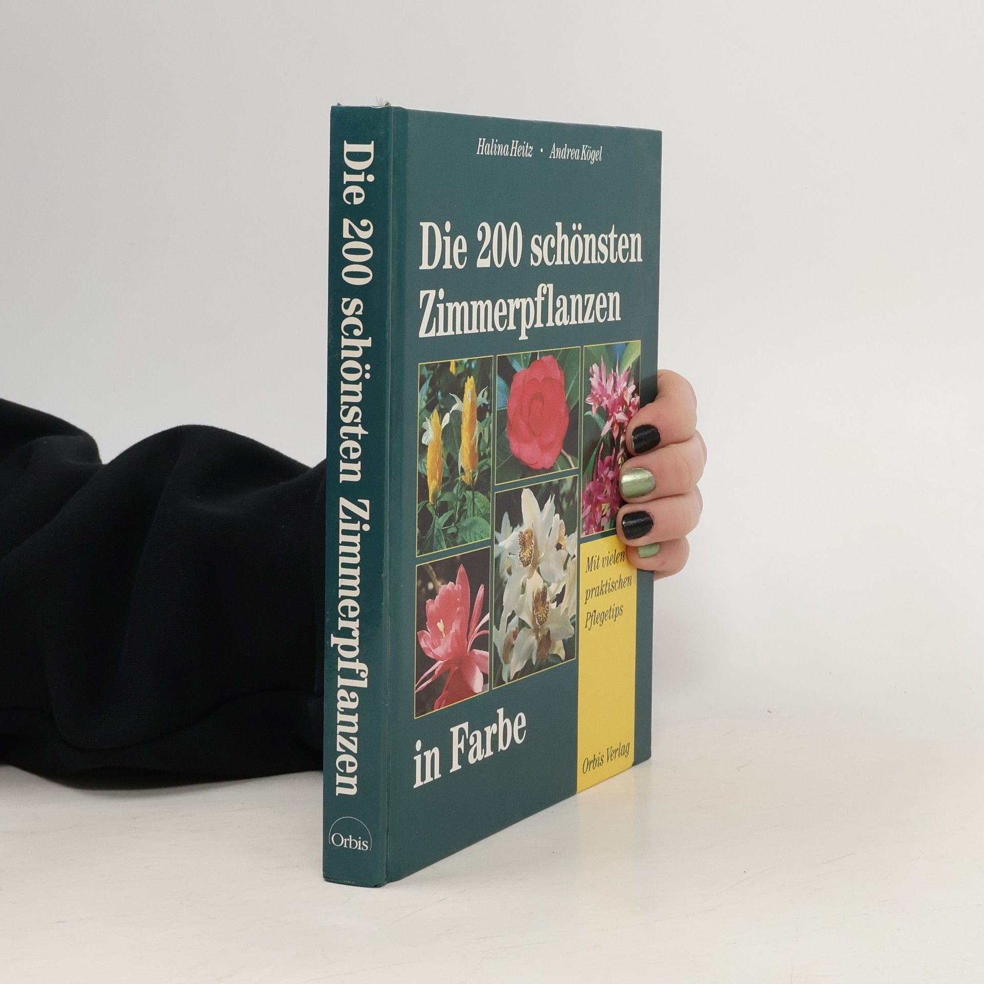 Die 200 schönsten Zimmerpflanzen