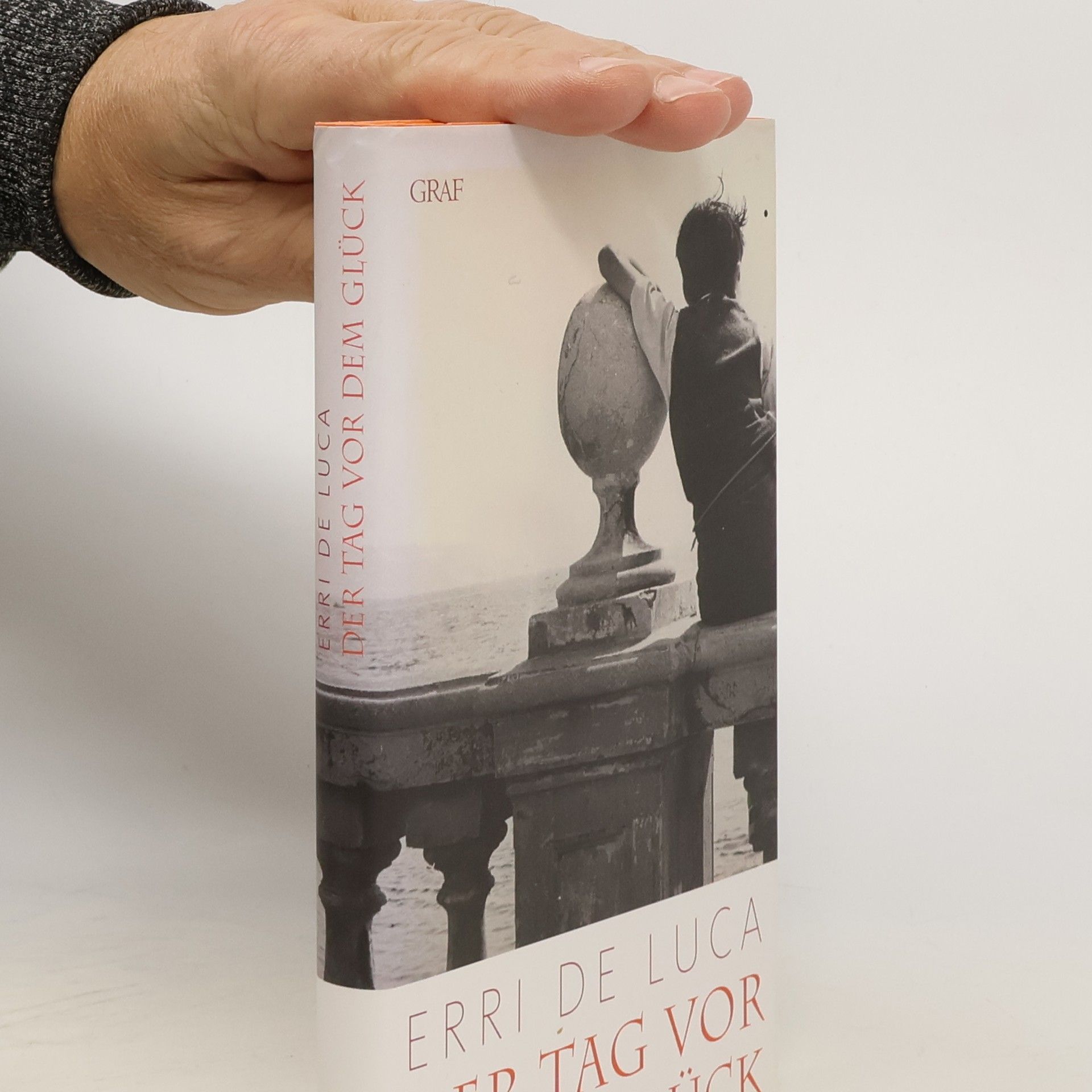 Erri De Luca Der Tag vor dem Glück