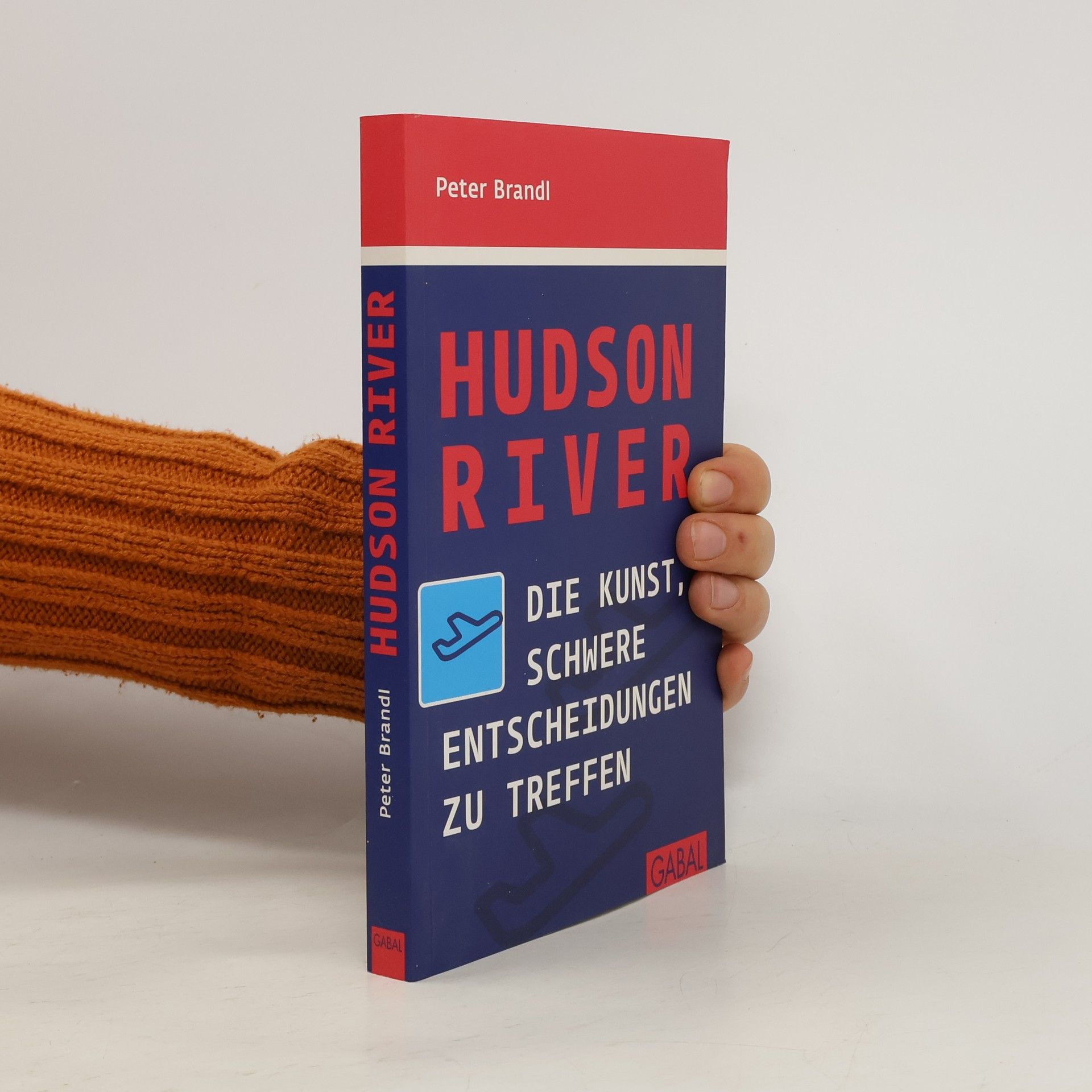 Peter Brandl Hudson River