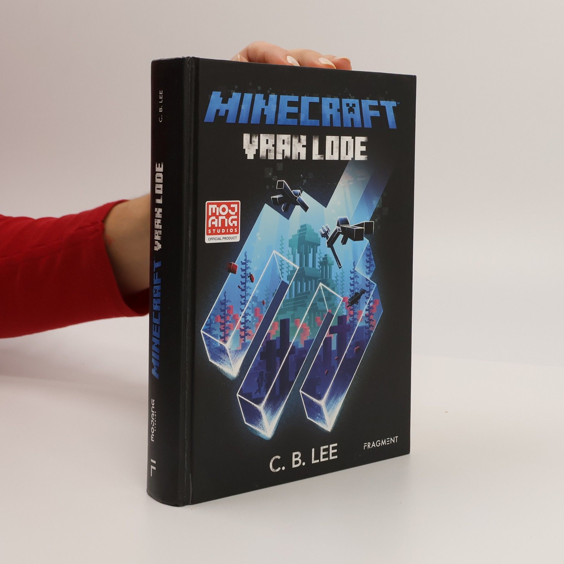 C. B. Lee Minecraft. Vrak lode