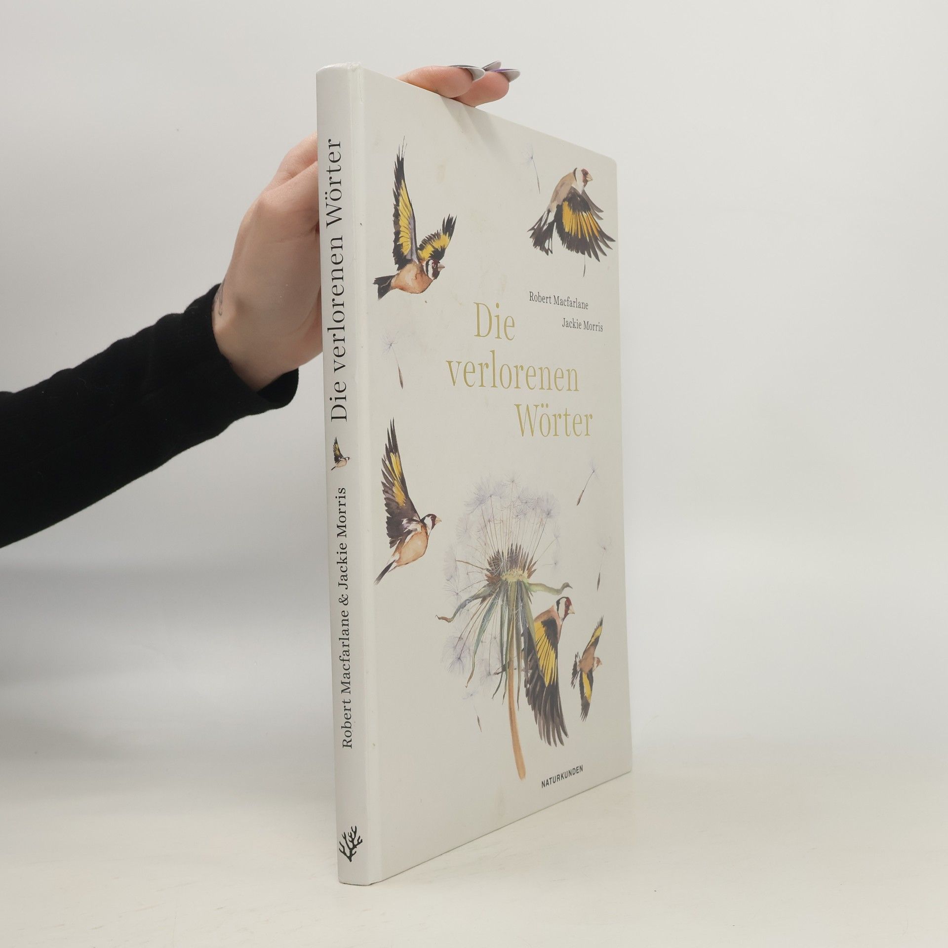 Robert McFarlane Die verlorenen Wörter