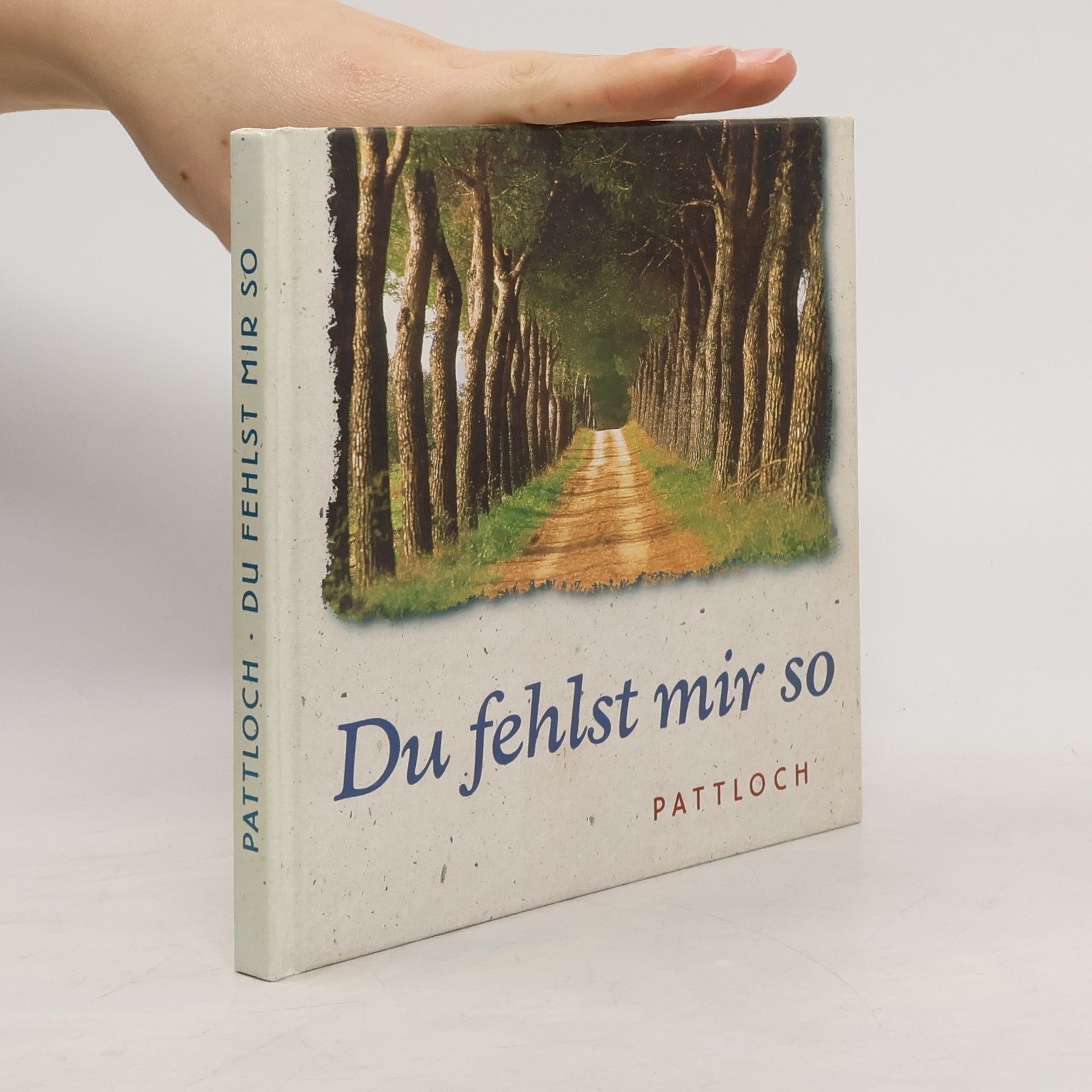 Autorenkollektiv Du fehlst mir so