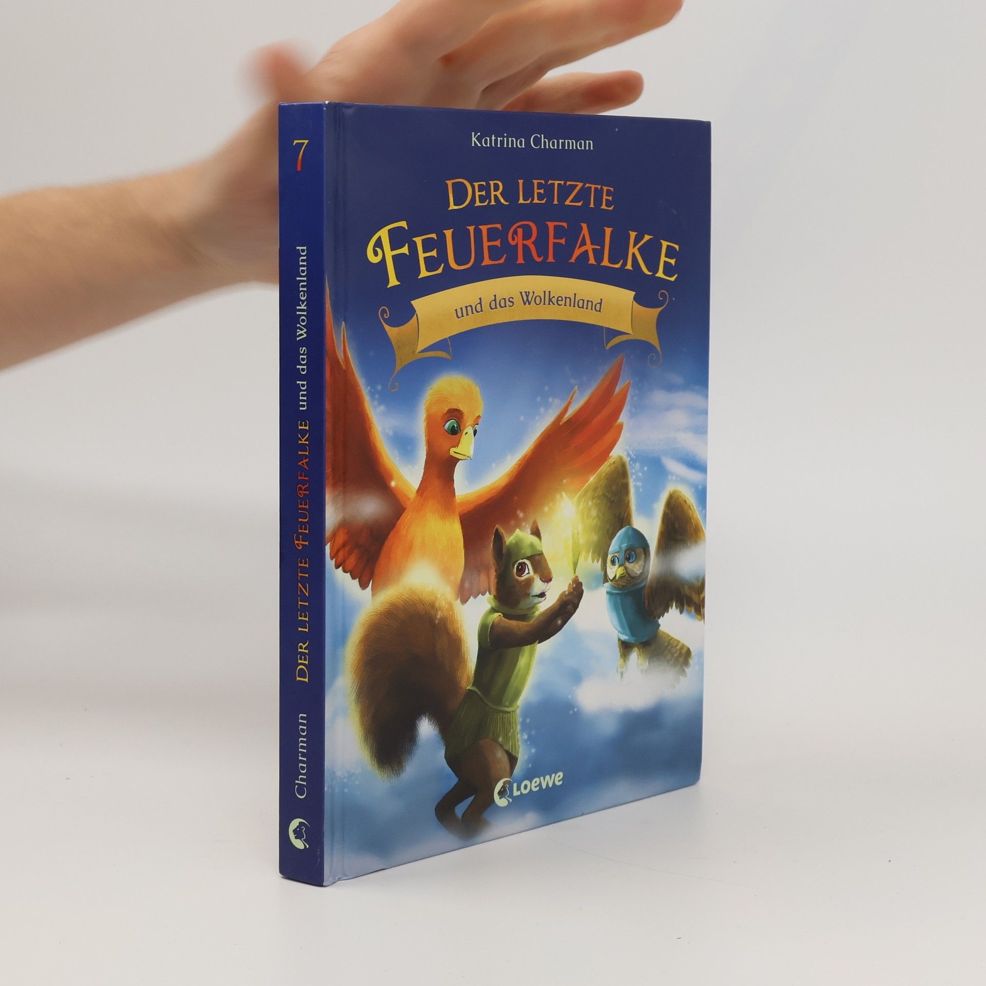 Der letzte Feuerfalke und das Wolkenland (Band 7)