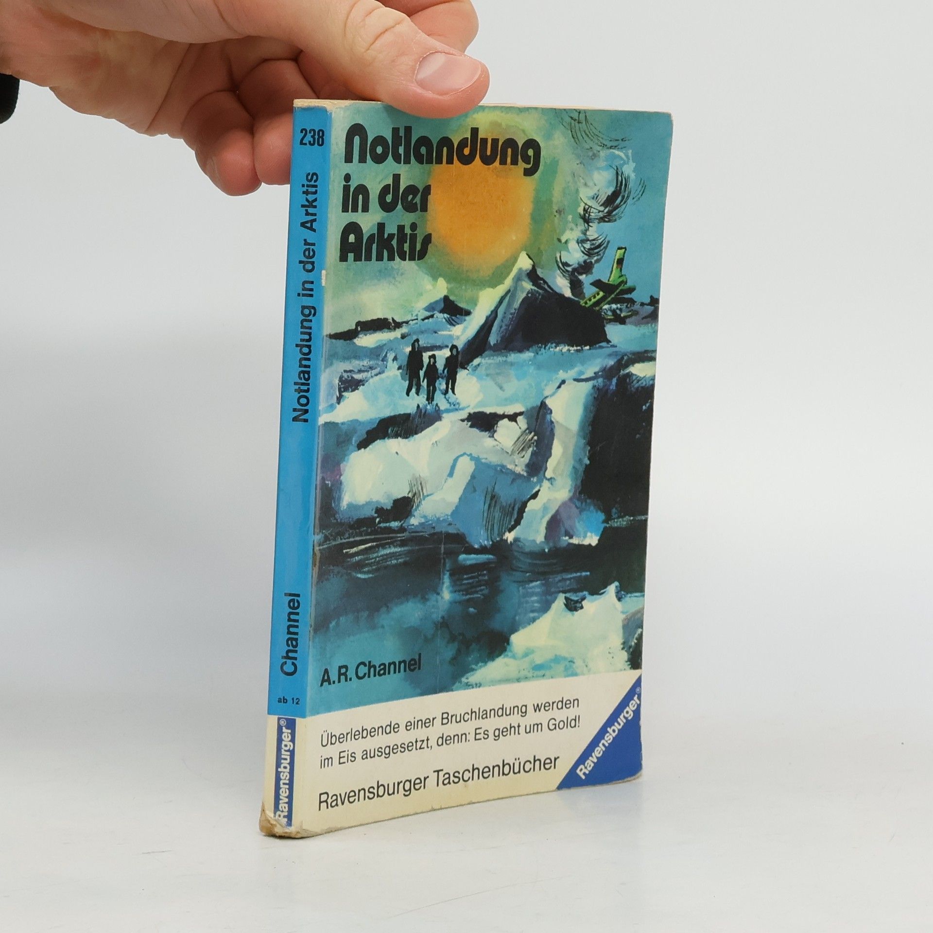 Notlandung in der Arktis