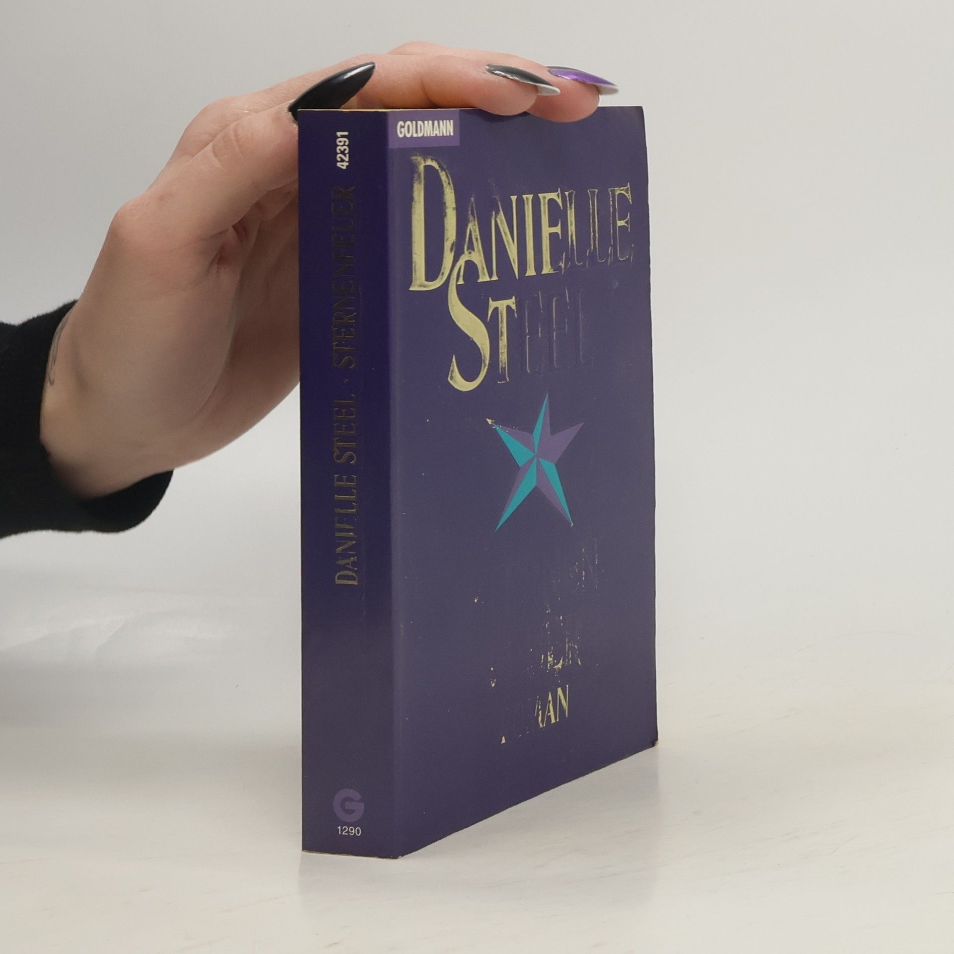 Danielle Steel Sternenfeuer