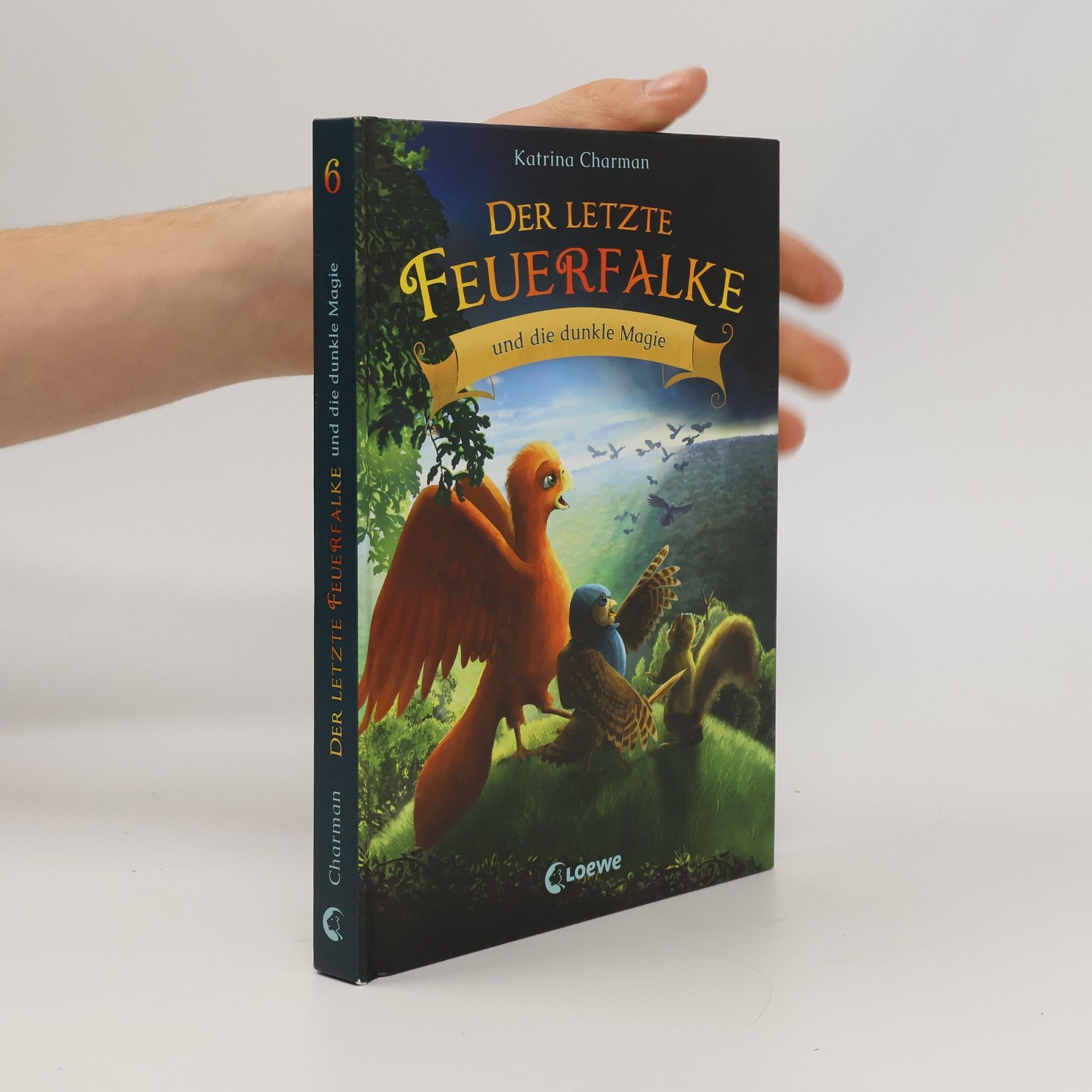 Der letzte Feuerfalke und die dunkle Magie (Band 6)
