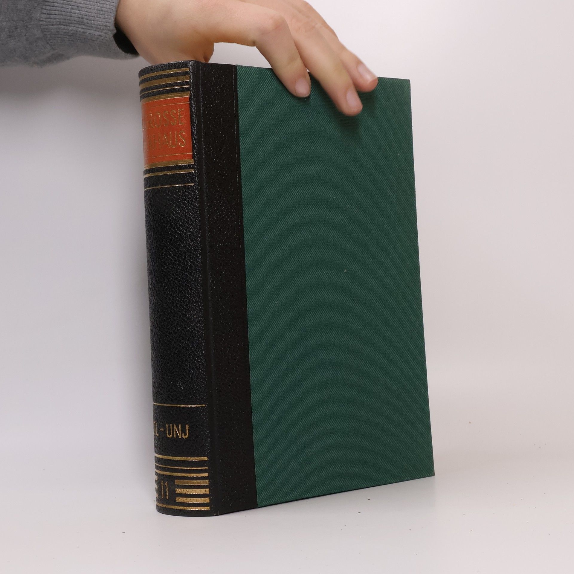 Collectif d'auteurs Der grosse Brockhaus 11