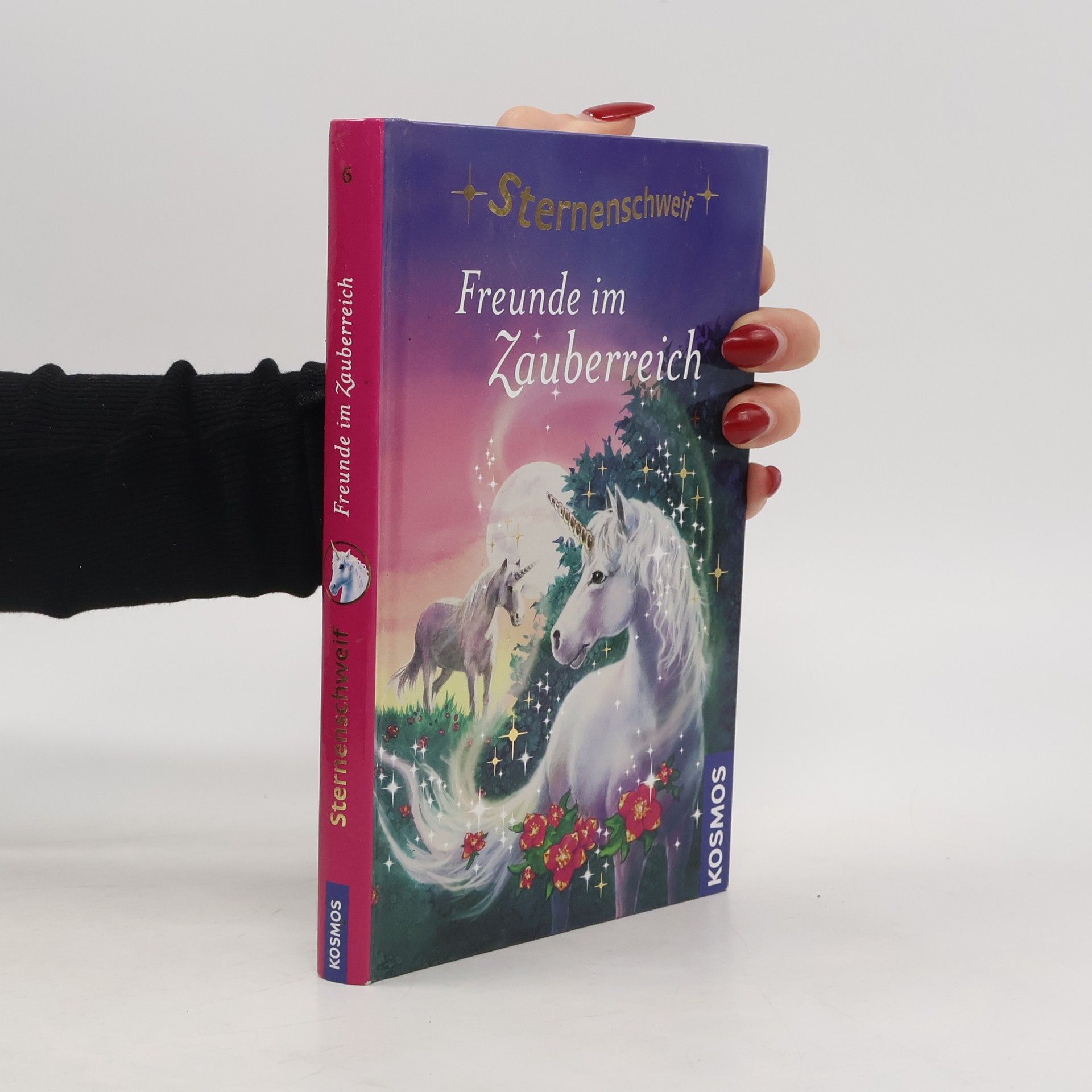 Linda Chapman Freunde im Zauberreich