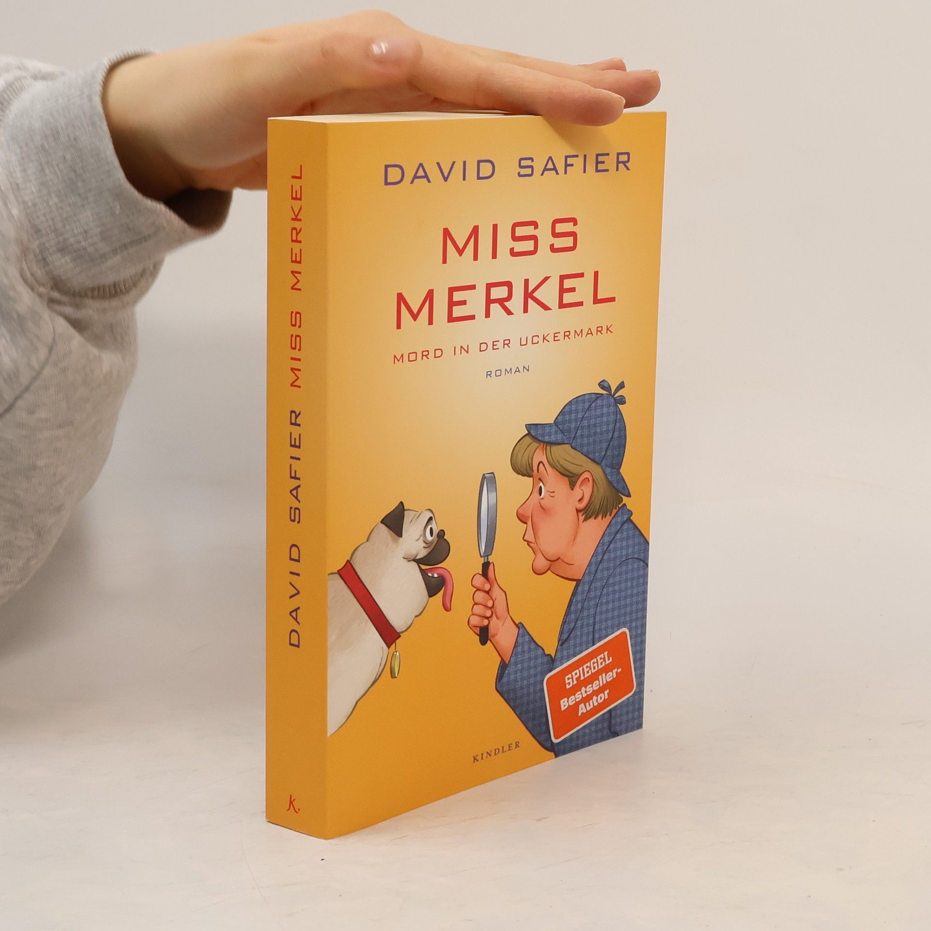 David Safier Miss Merkel