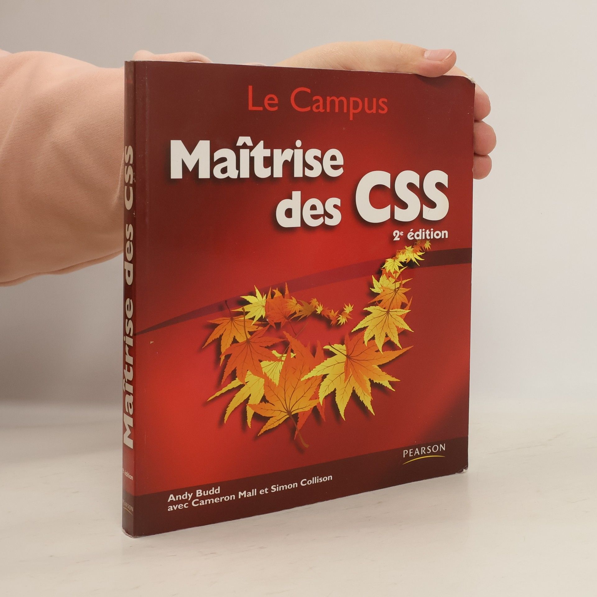 Maîtrise des CSS