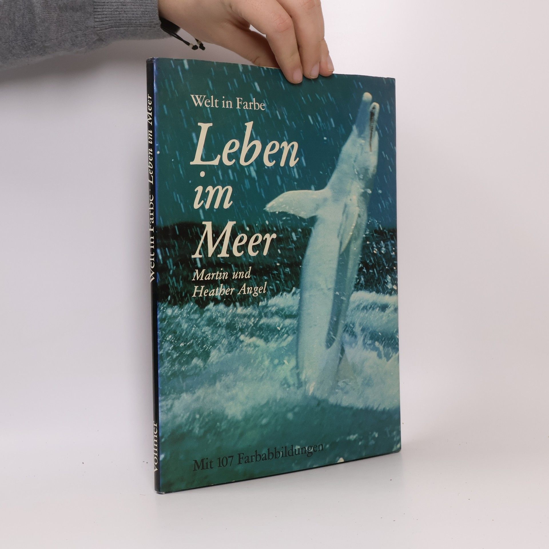 Martin und Heather Angel Leben im Meer