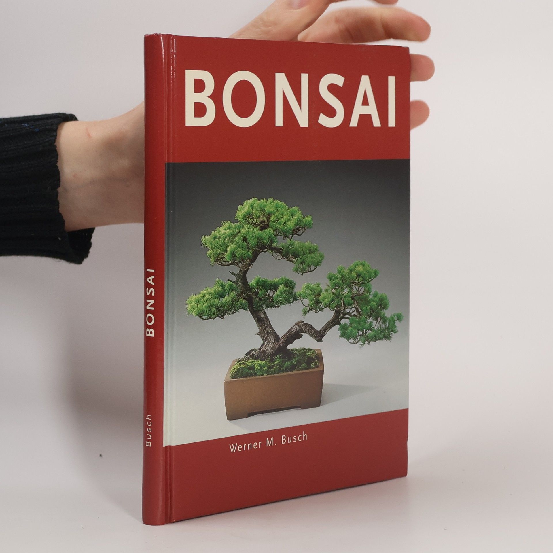 Autorenkollektiv Bonsai