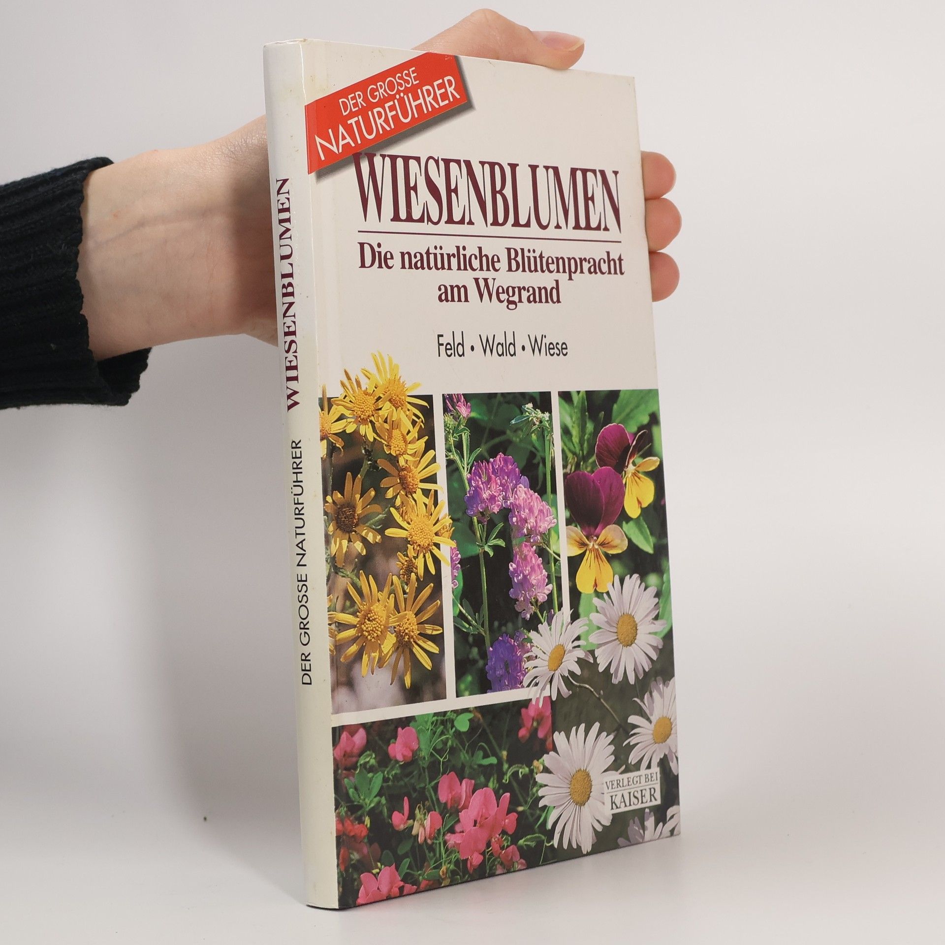 Maria Teresa DellaBeffa Wiesenblumen. Die natürliche Blütenpracht am Wegrand. Feld, Wald, Wiese.