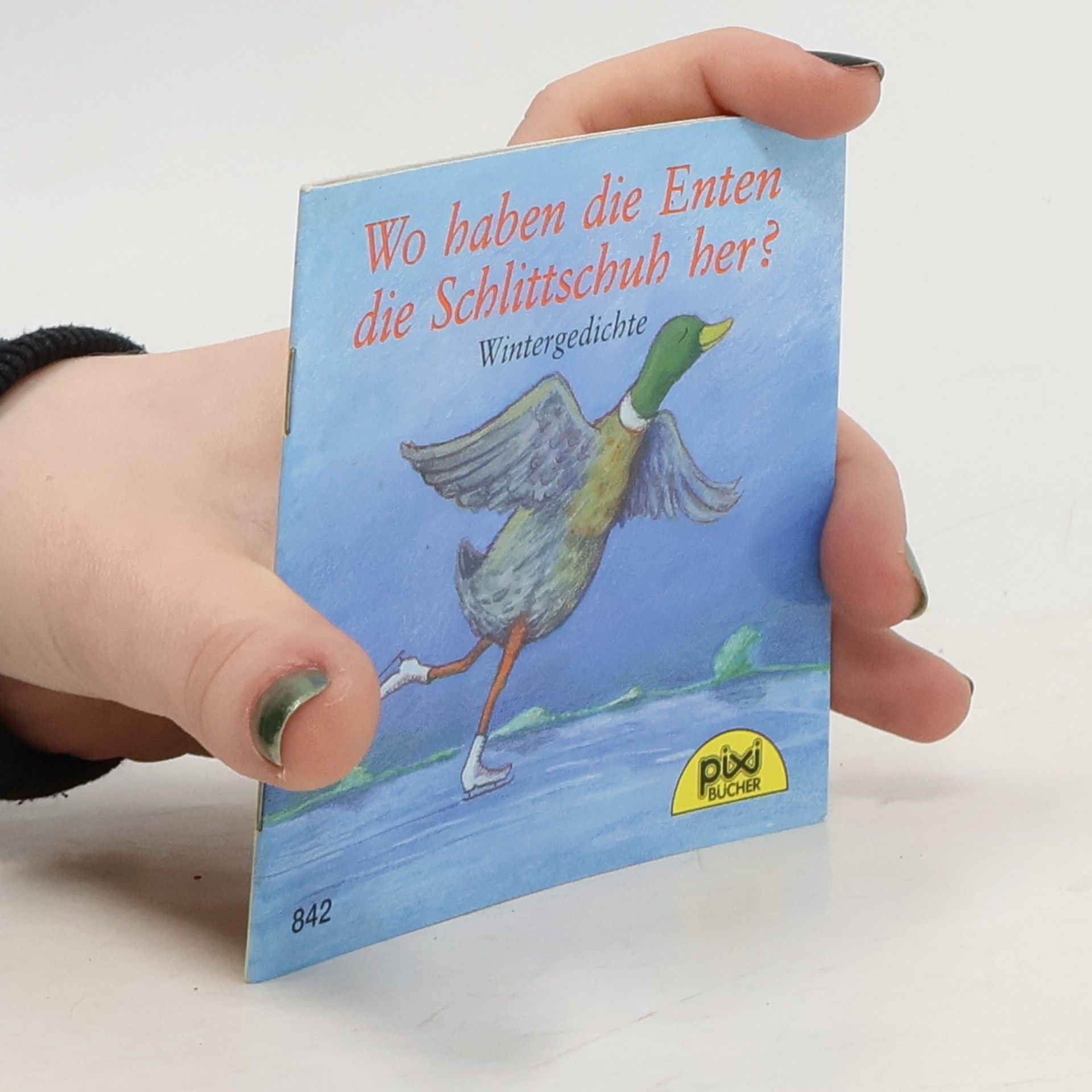 Autorenkollektiv Wo haben die Enten die Schlittschuh her?