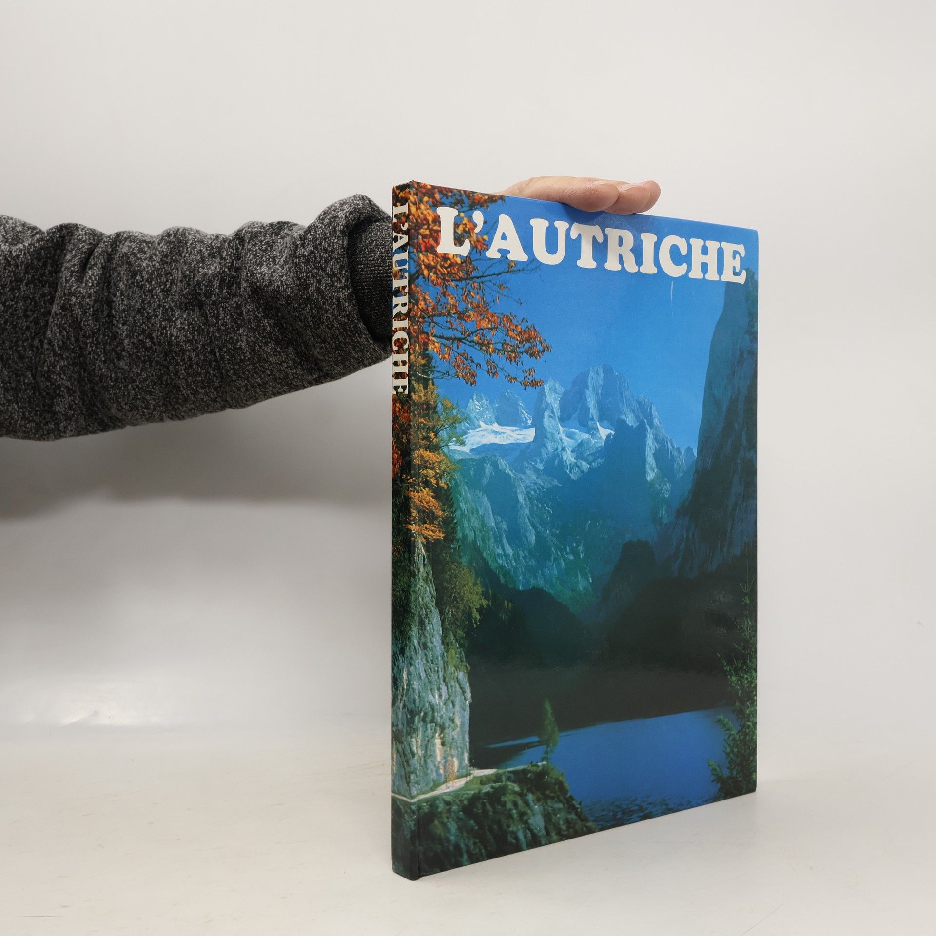 Autorenkollektiv L'Autriche