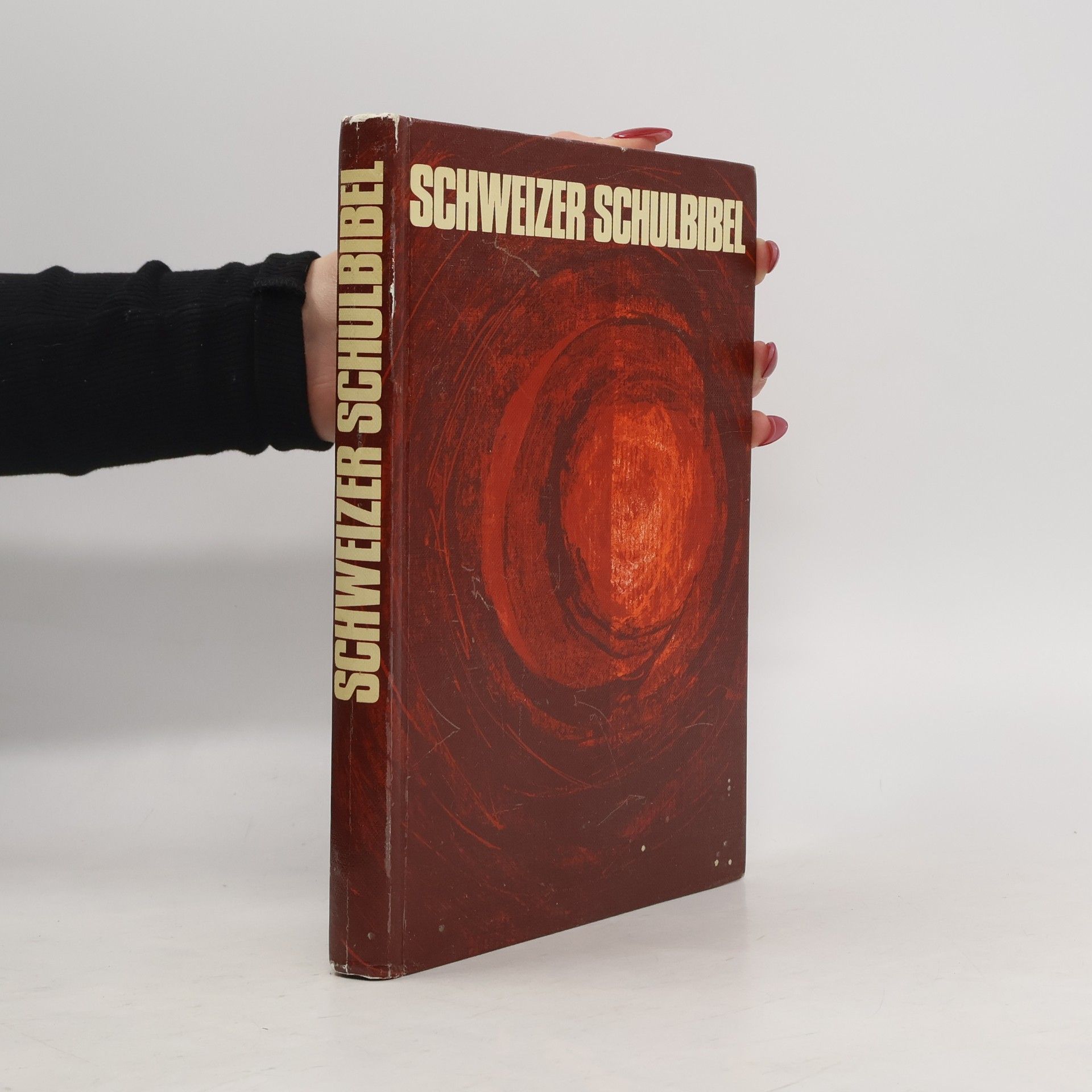 Autorenkollektiv Schweizer Schulbibel