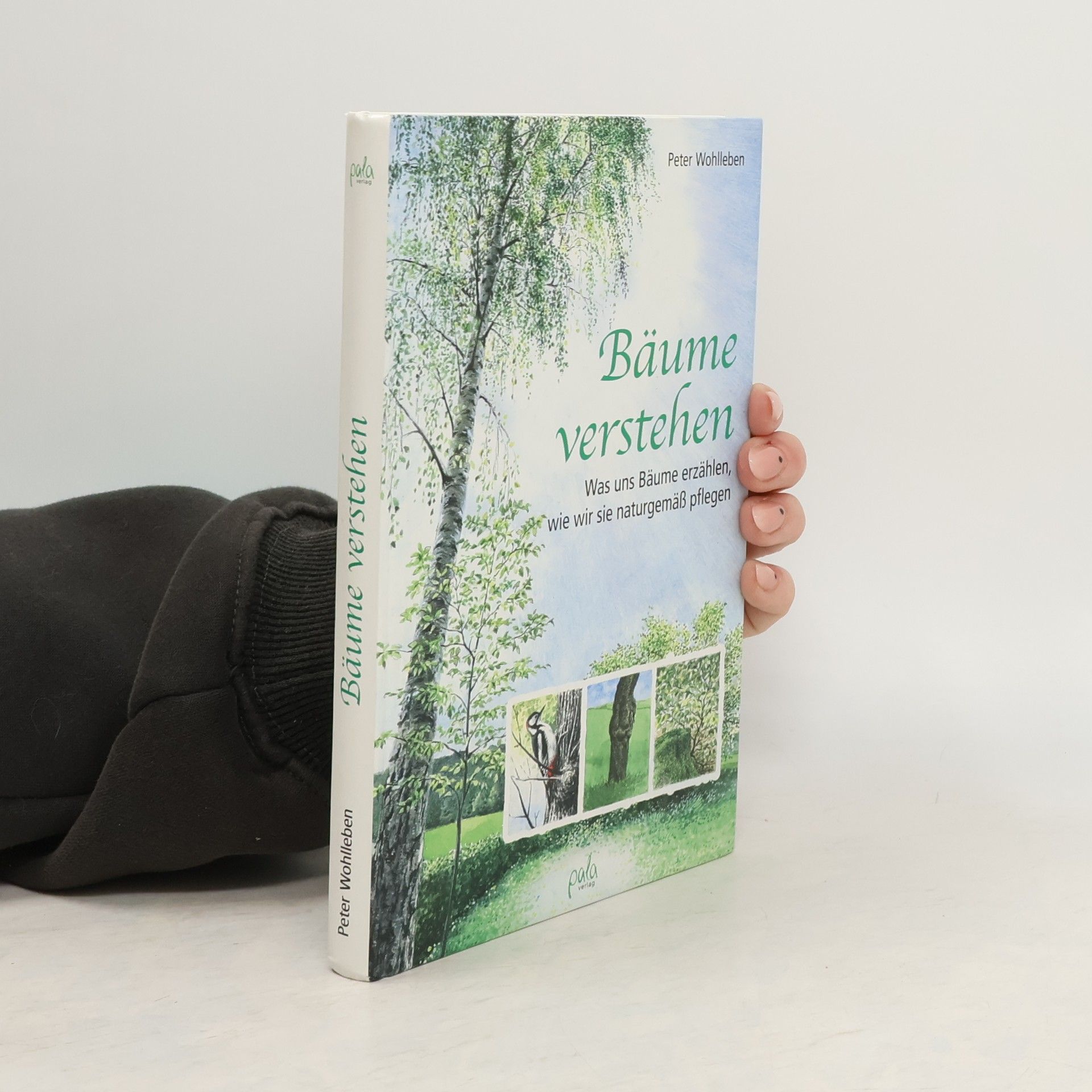 Peter Wohlleben Bäume verstehen