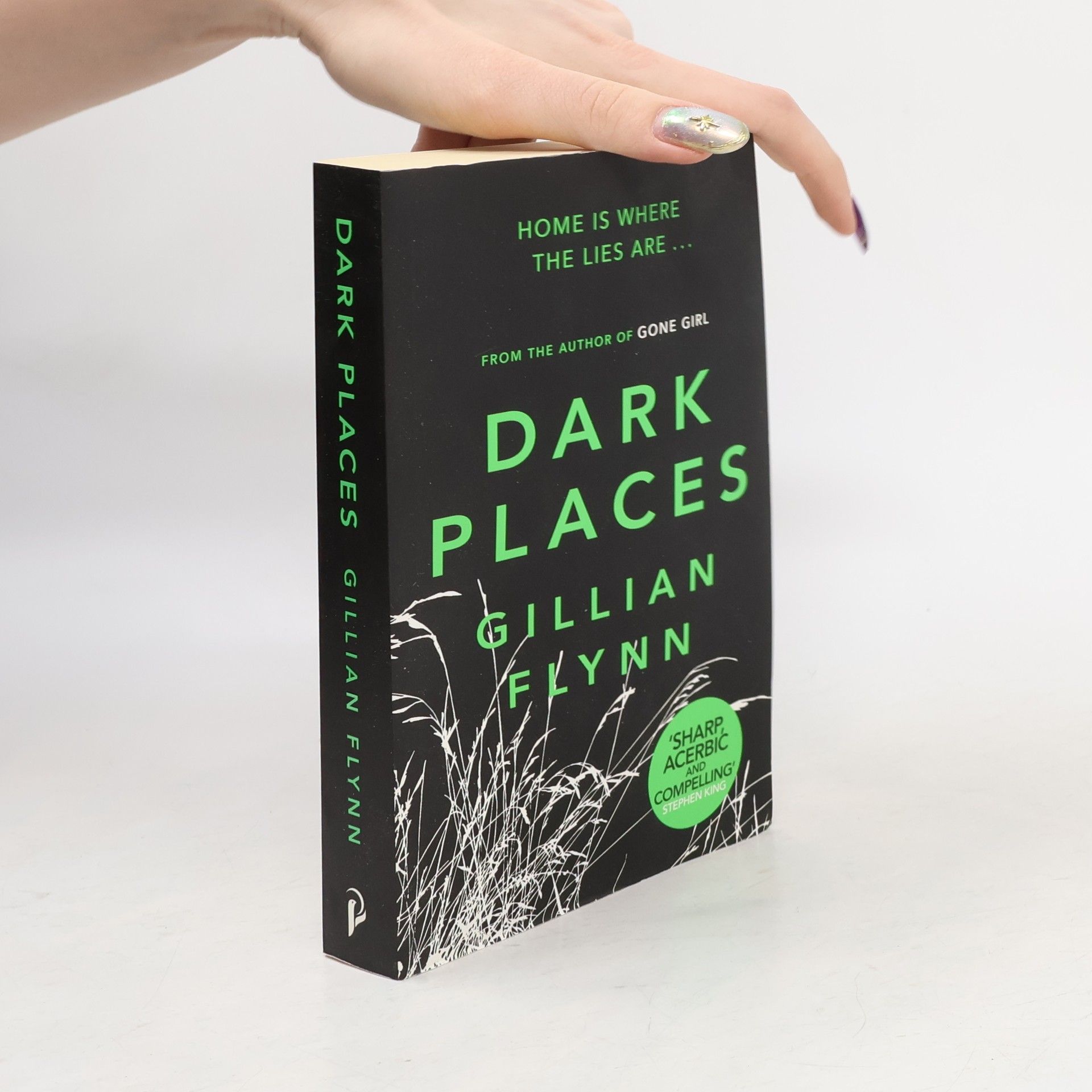 Gillian Flynn Dark Places