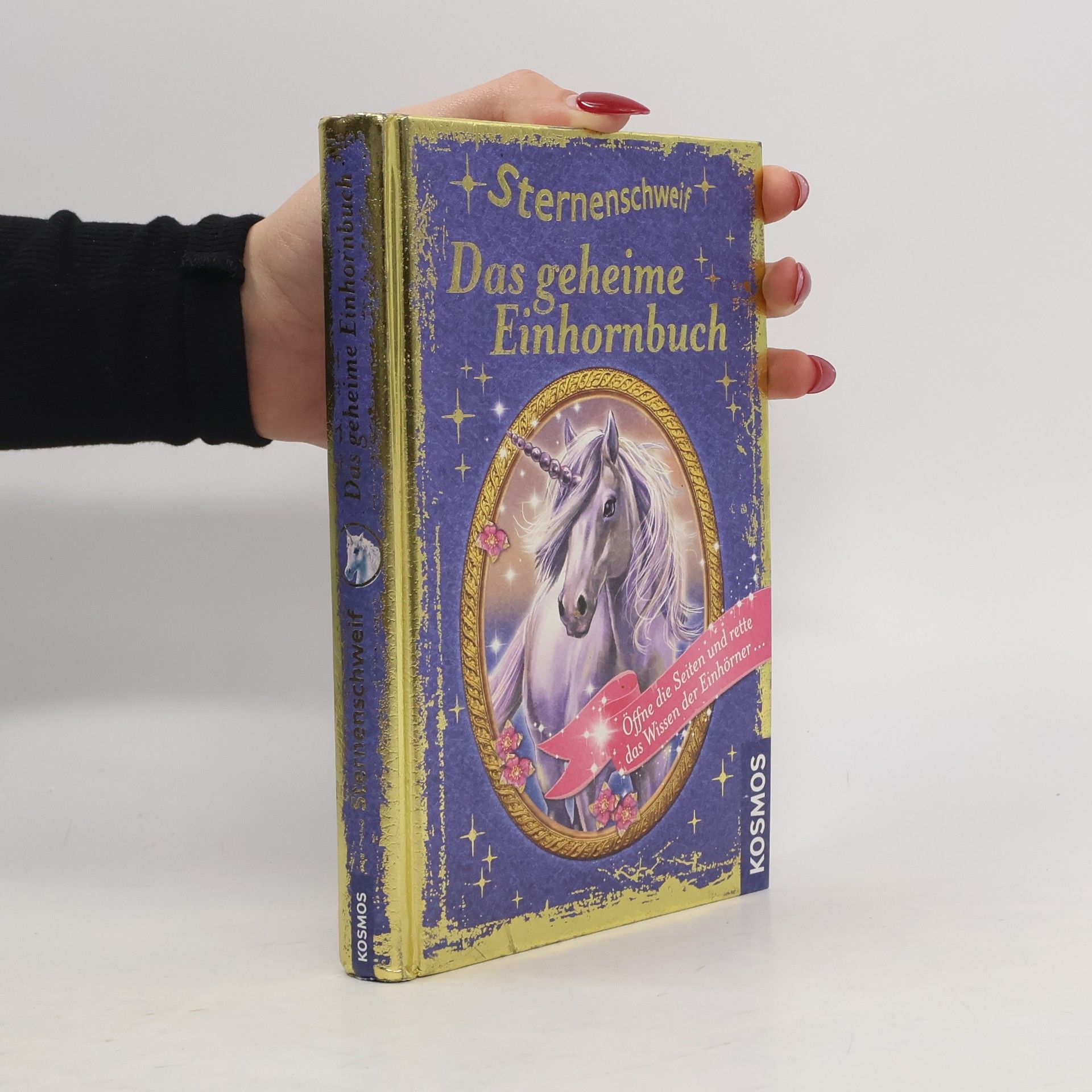 Anne Scheller Sternenschweif - das geheime Einhornbuch