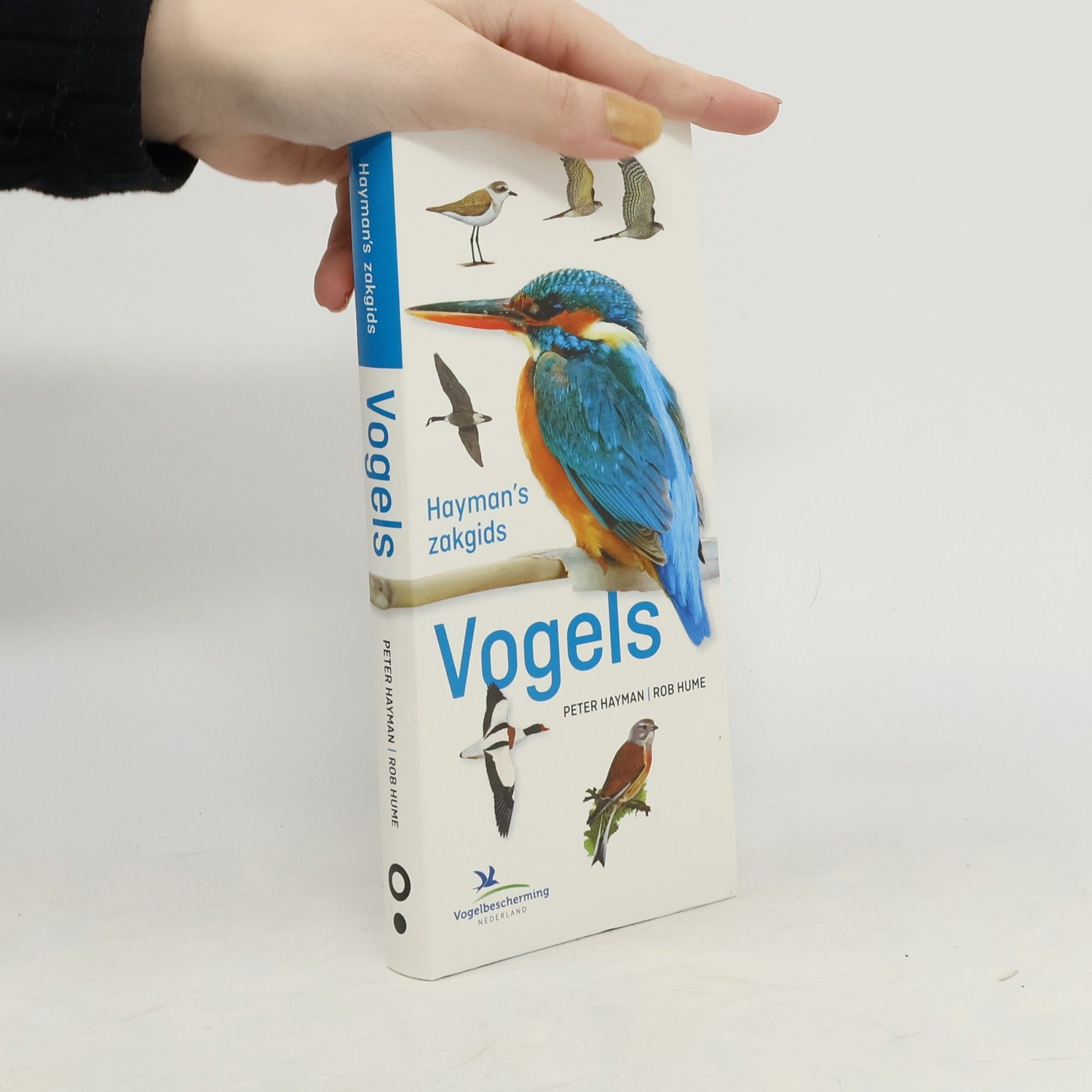 Hayman's zakgids vogels