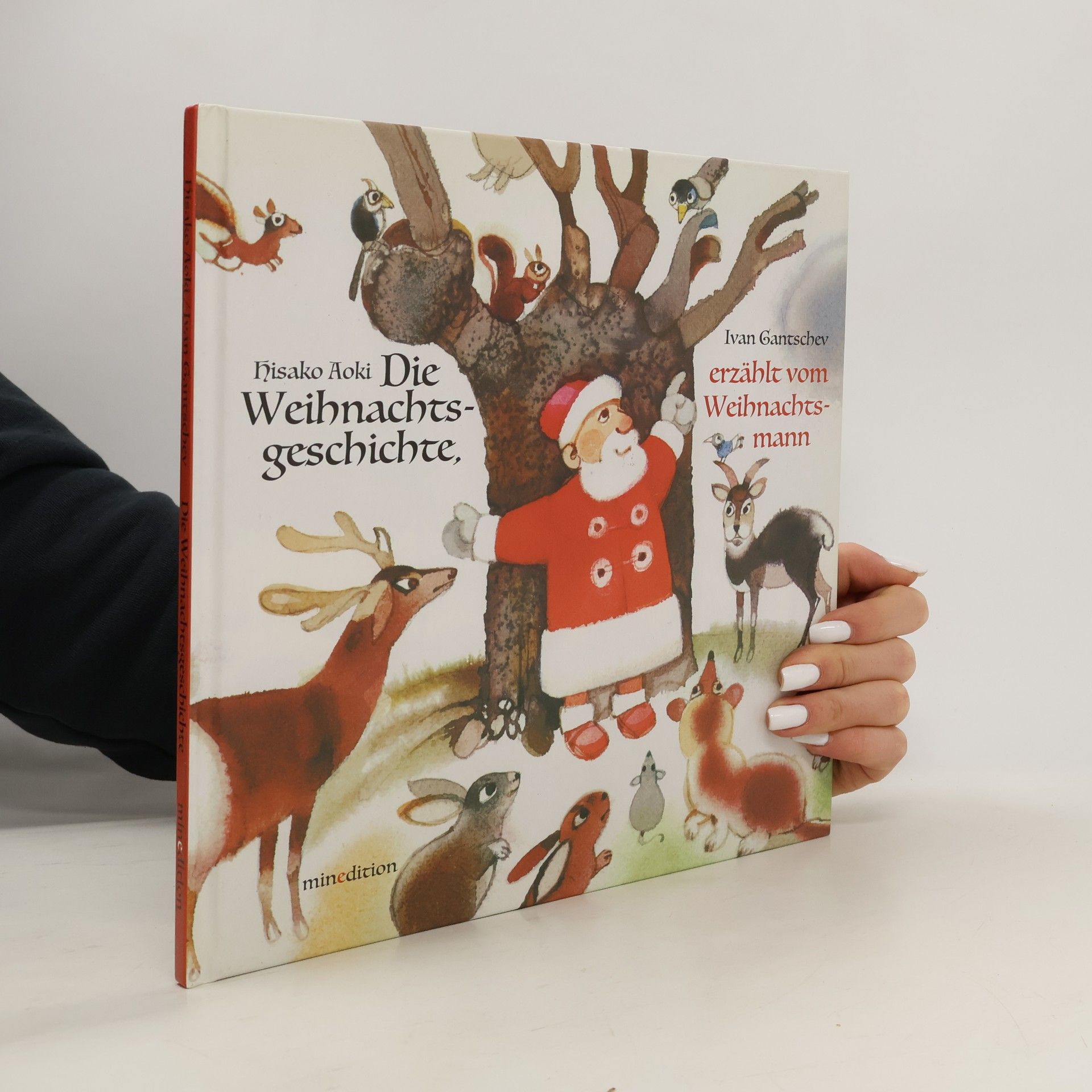 Hisako Aoki Die Weihnachtsgeschichte, erzählt vom Weihnachtsmann