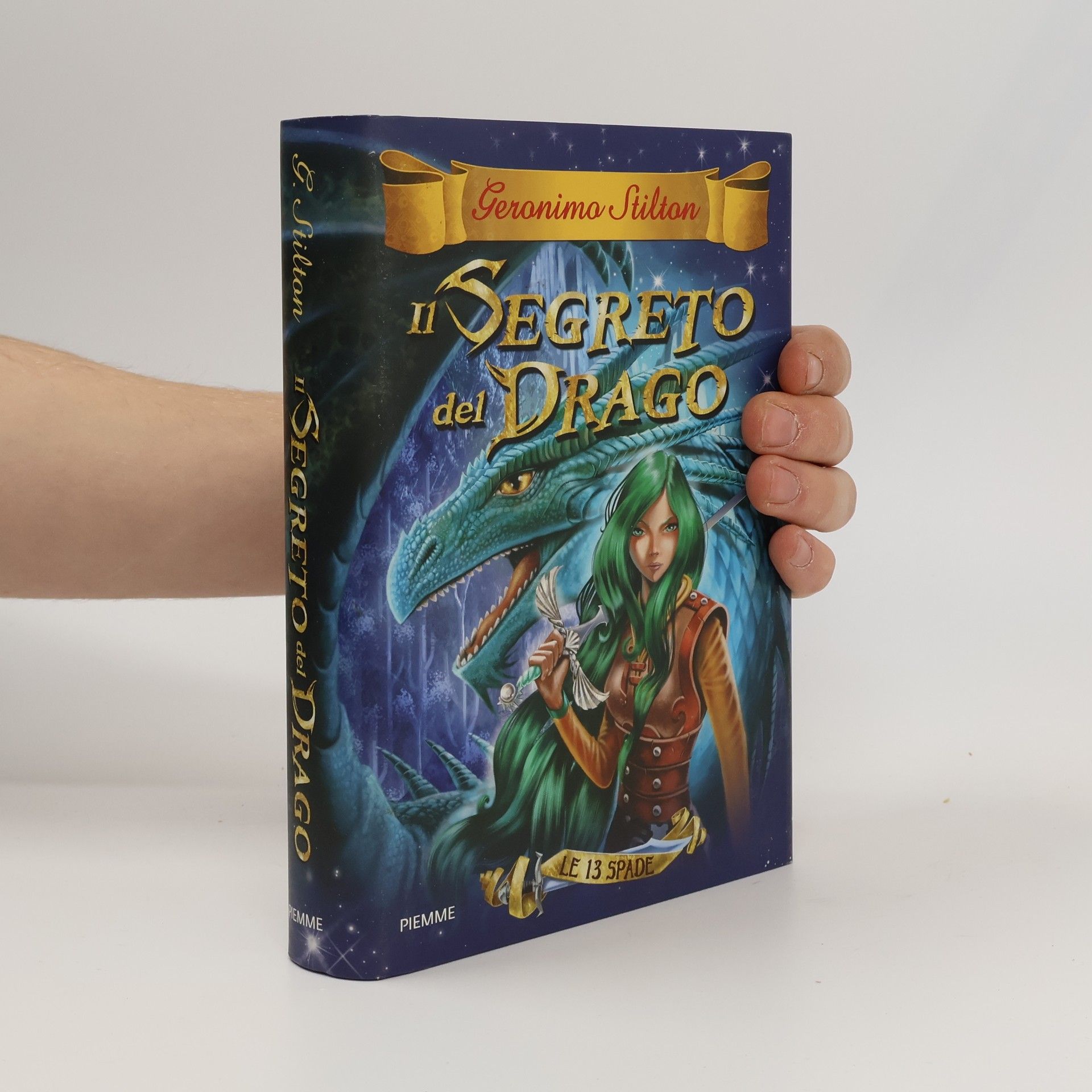 Il segreto del drago. Le 13 Spade