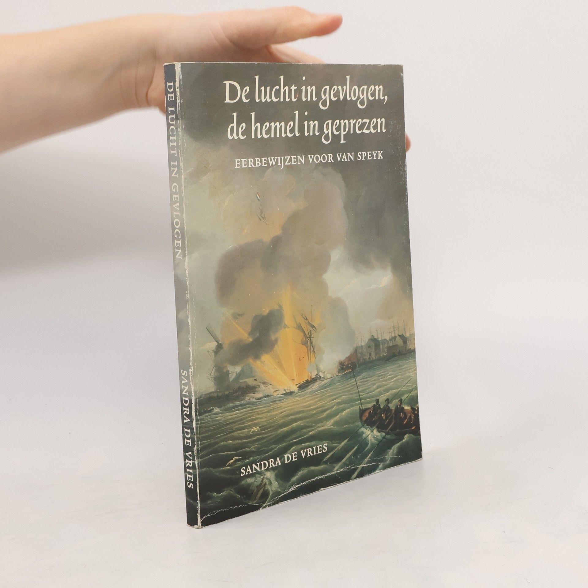 Sandra de Vries De lucht in gevlogen, de hemel in geprezen