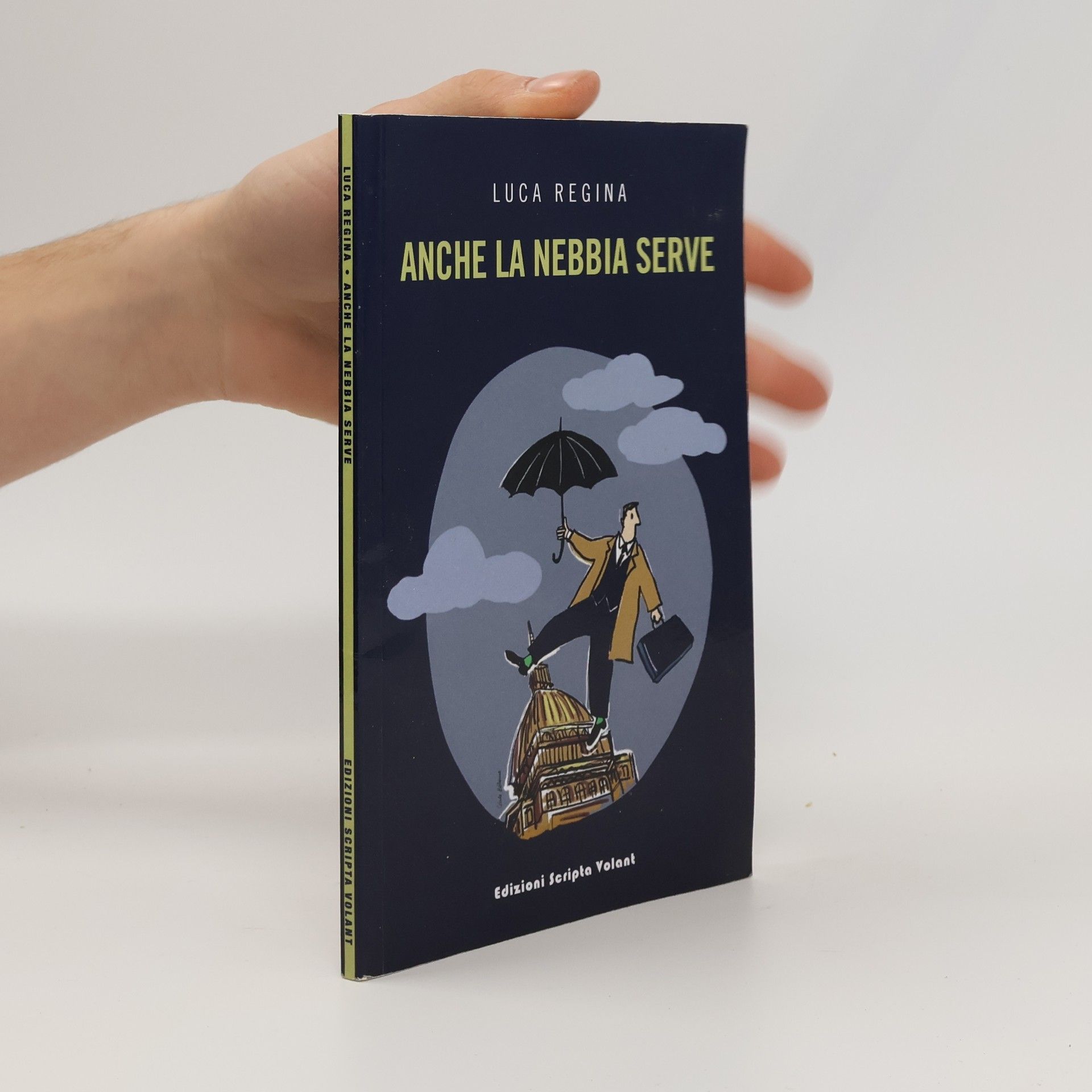 Luca Regina Anche la nebbia serve