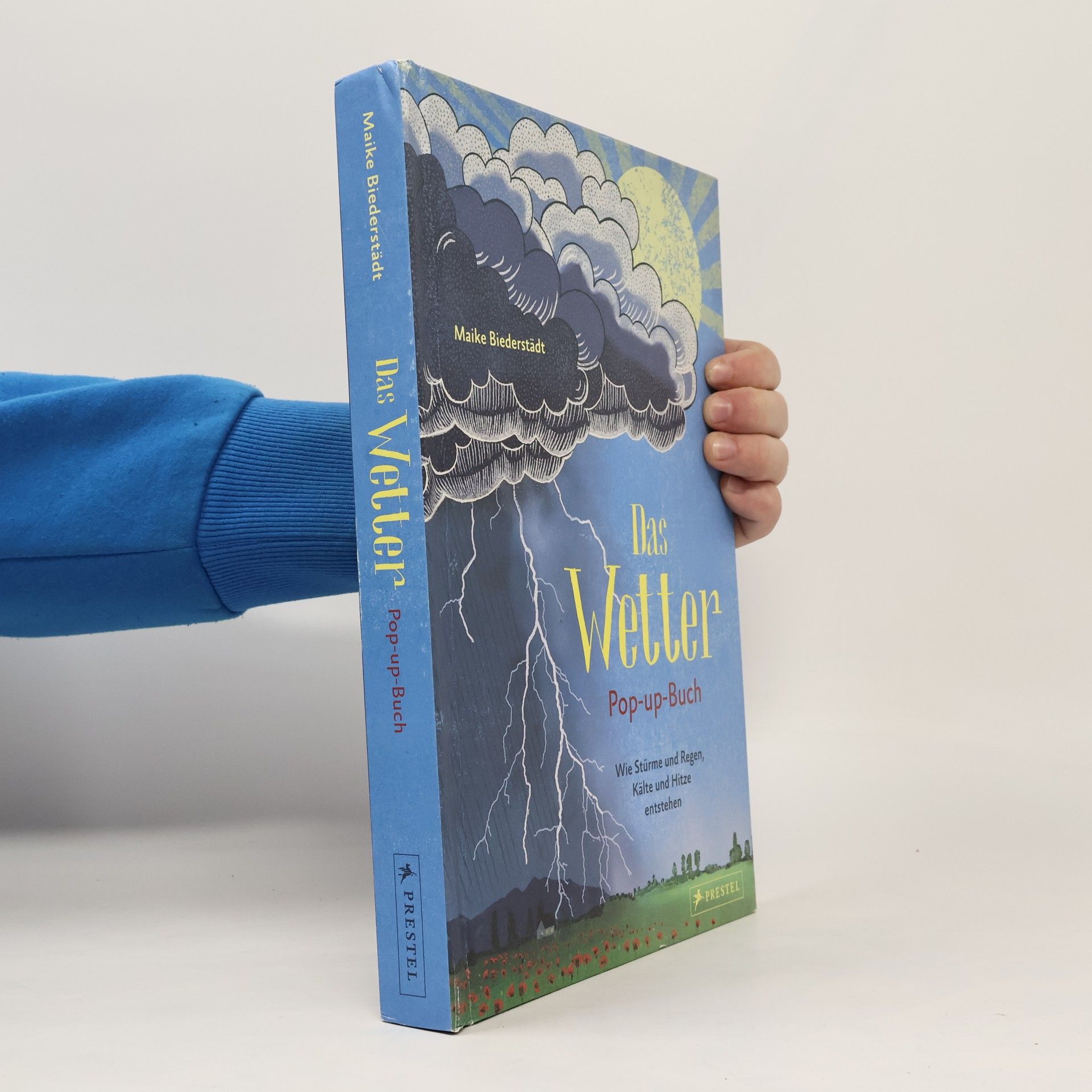 Maike Biederstadt Das Wetter. Pop-up-Buch