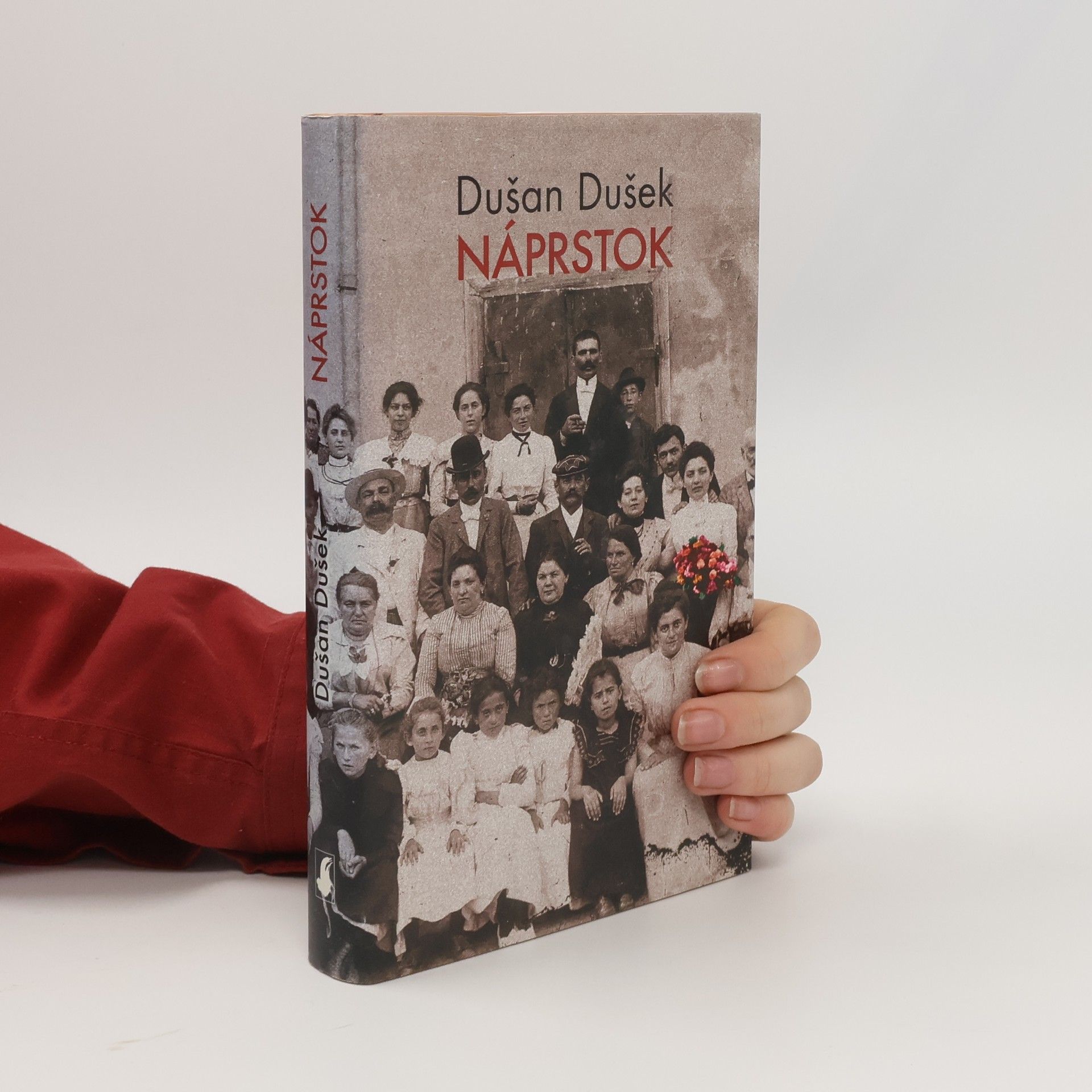 Dušan Dušek Náprstok