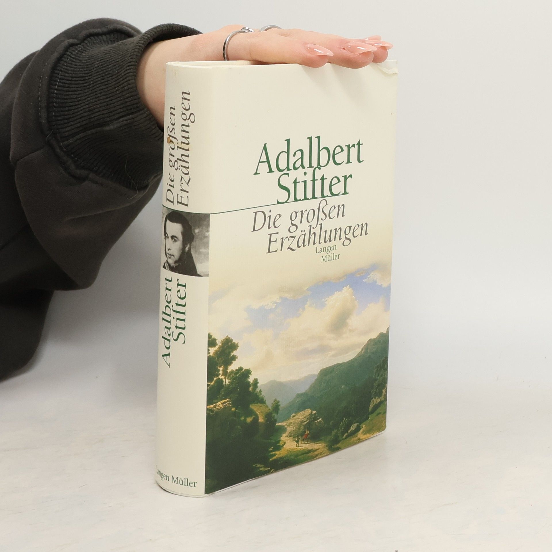 Adalbert Stifter Die großen Erzählungen