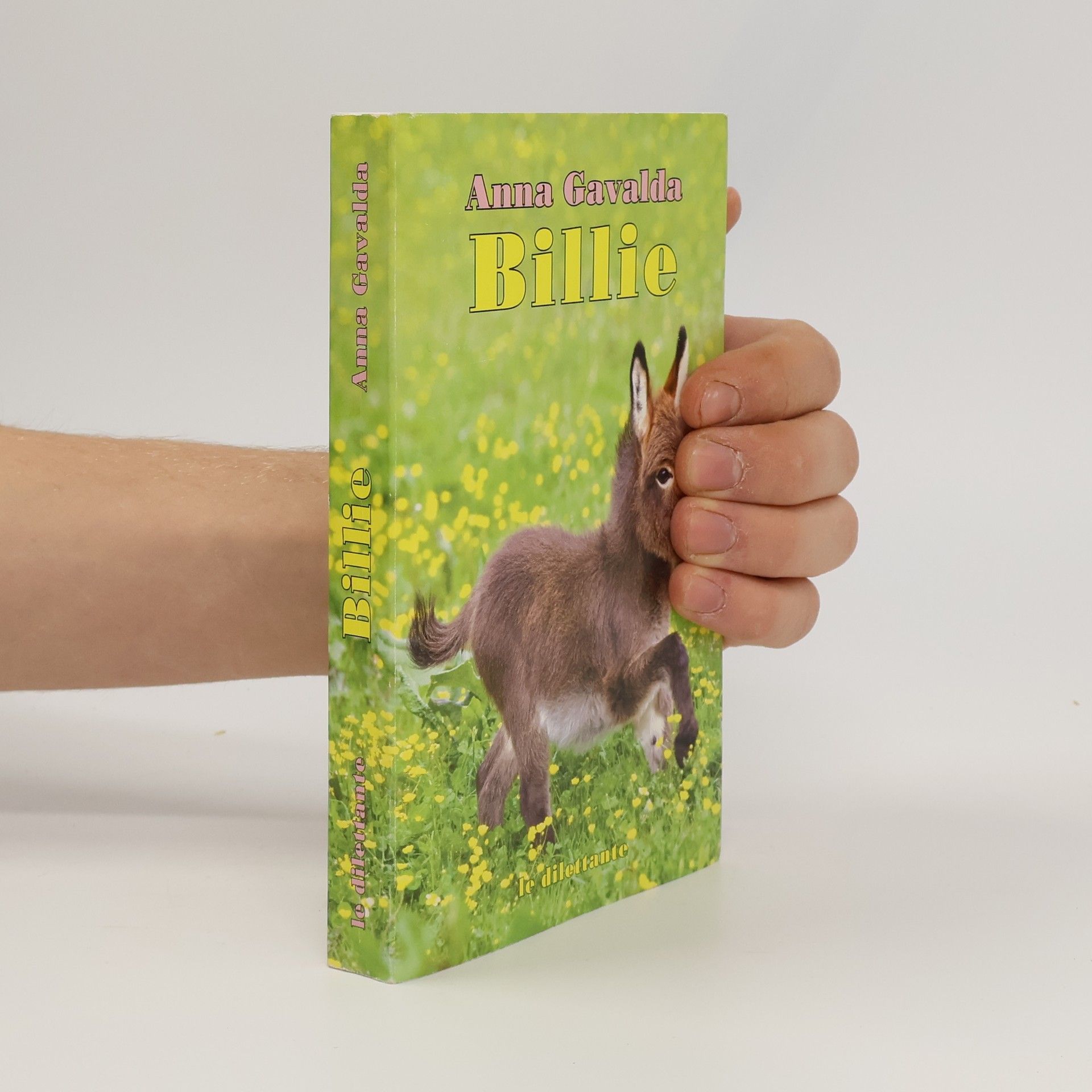 Anna Gavalda Billie. Nur wer fällt, lernt fliegen, französische Ausgabe