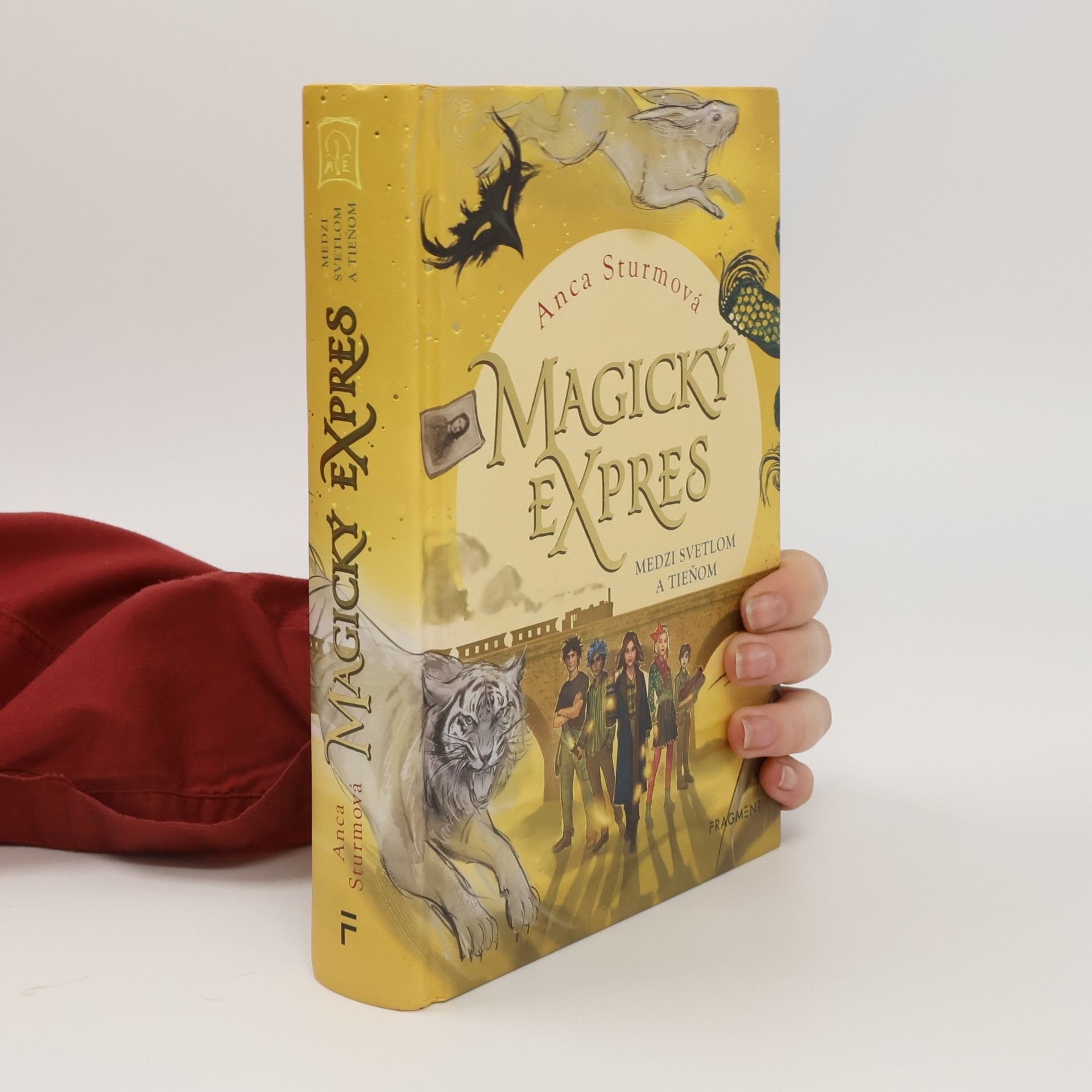 Anca Sturm Magický expres: Medzi svetlom a tieňom