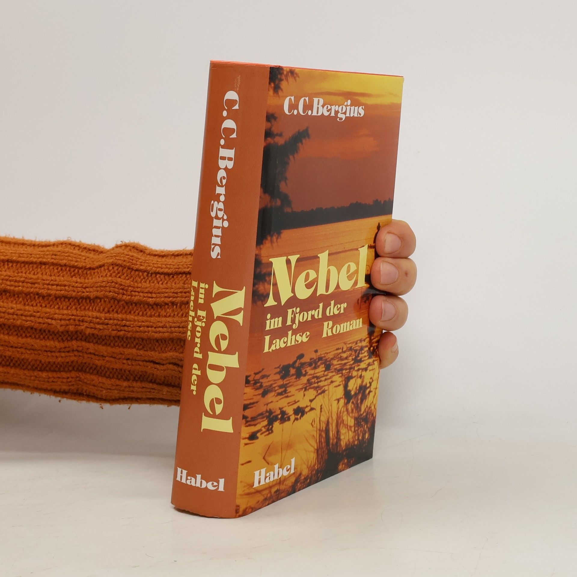 C. C. Bergius Nebel im Fjord der Lachse