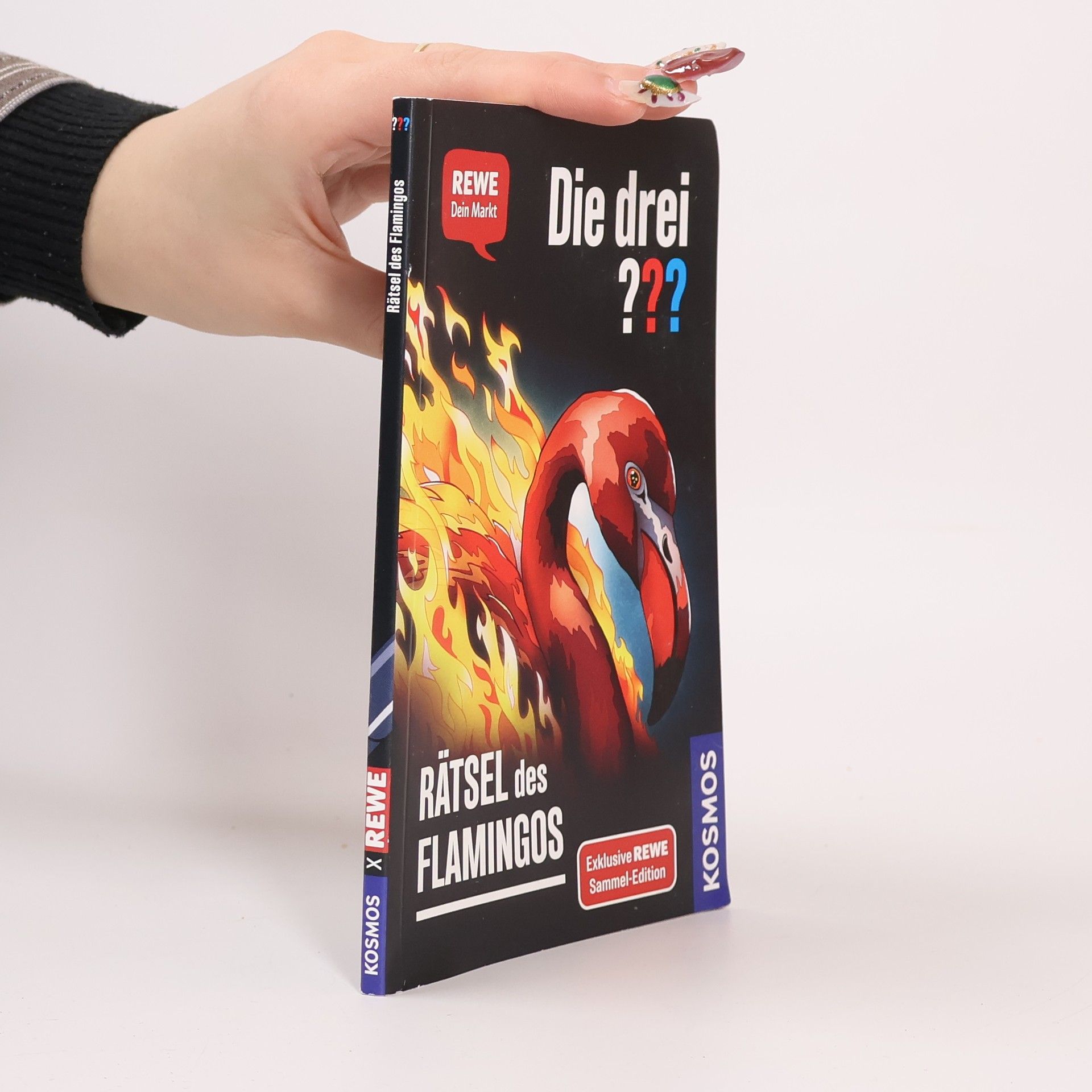 Andreas Ruch Die drei??? Rätsel des Flamingos