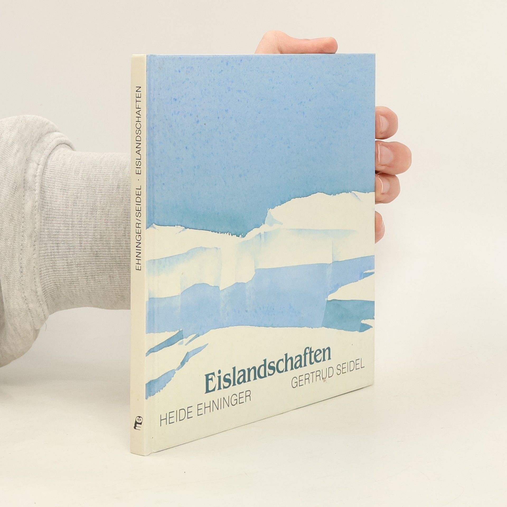 Heide Ehninger Eislandschaften